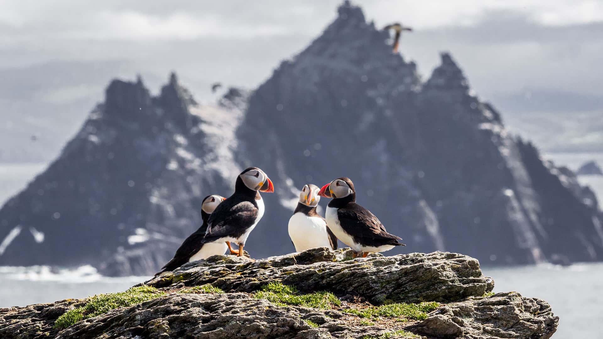 Skellig Michael, Ireland tour, Dublin to island, Tourist attraction, 1920x1080 Full HD Desktop