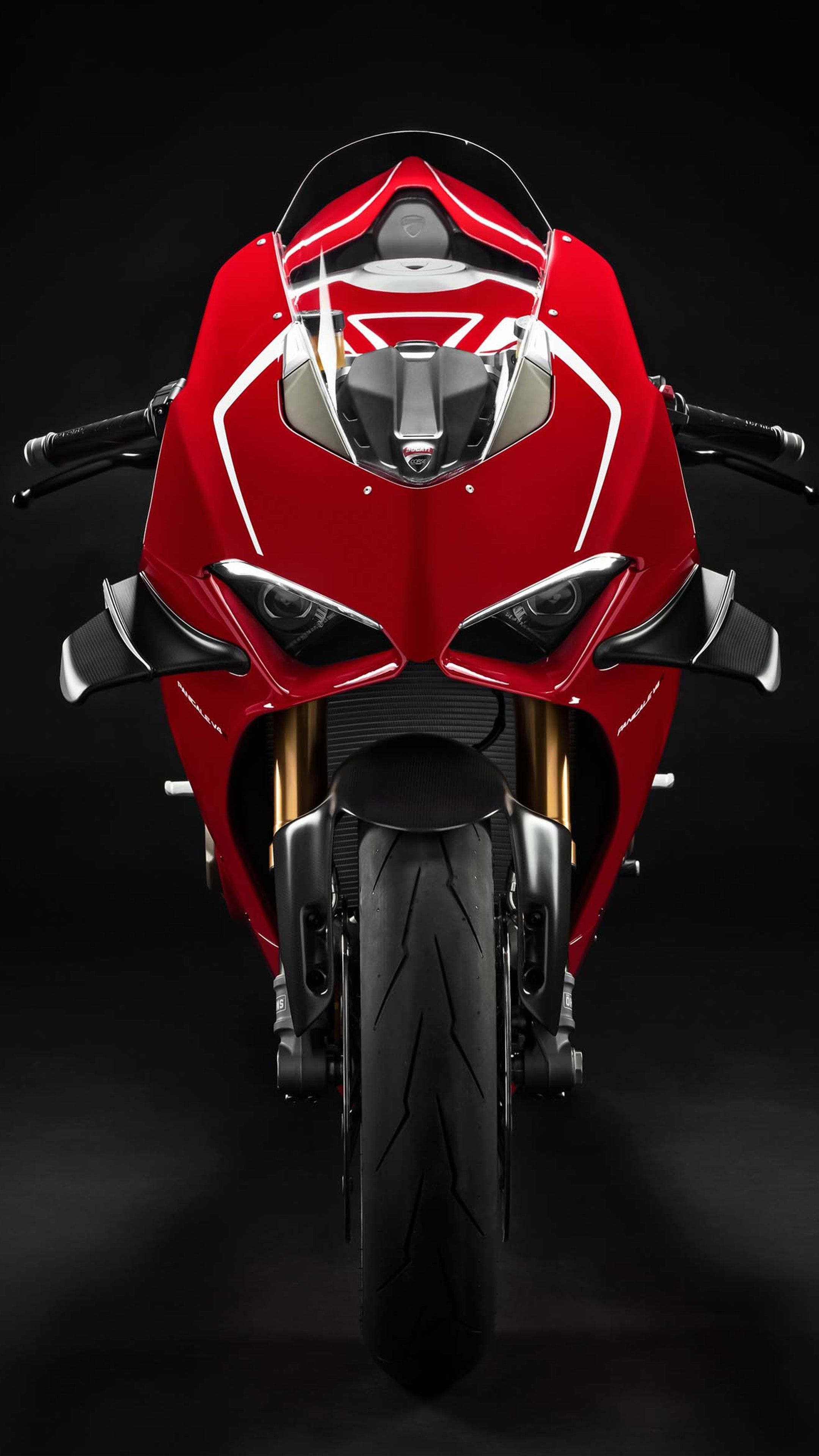 1199 Panigale R Front View, Ducati Panigale V4 Wallpaper, 2160x3840 4K Phone