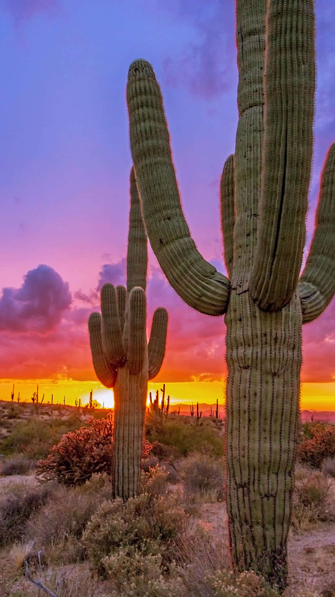 Vibrant Arizona sunrises, Arizona sunset wallpaper, HD, 1080x1920 Full HD Phone