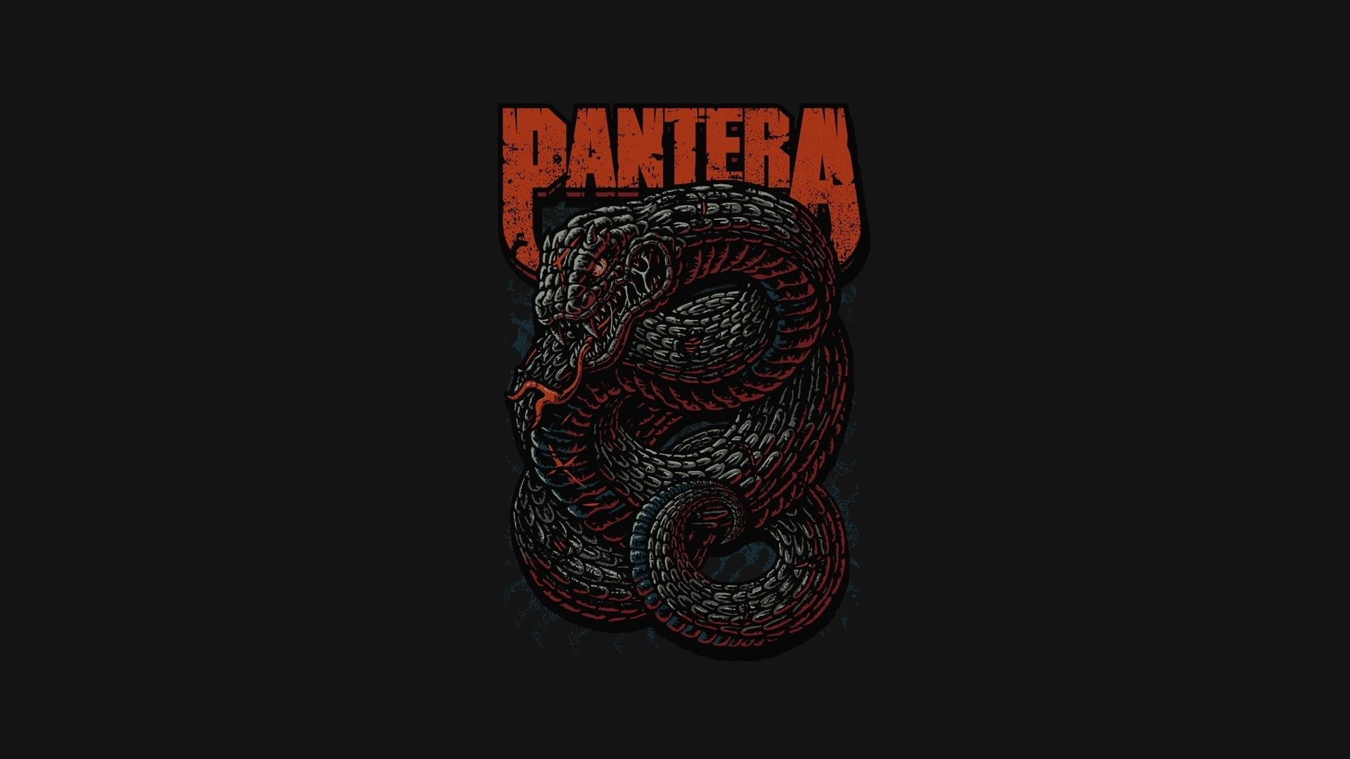 Heavy Metal, Pantera, Heavy metal music, Snake, 1920x1080 Full HD Desktop