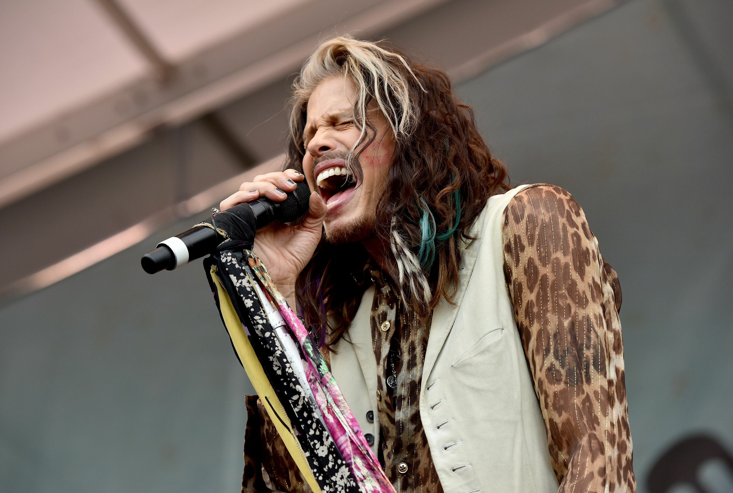 Steven Tyler, Aerosmith Wallpaper, 3000x2020 HD Desktop