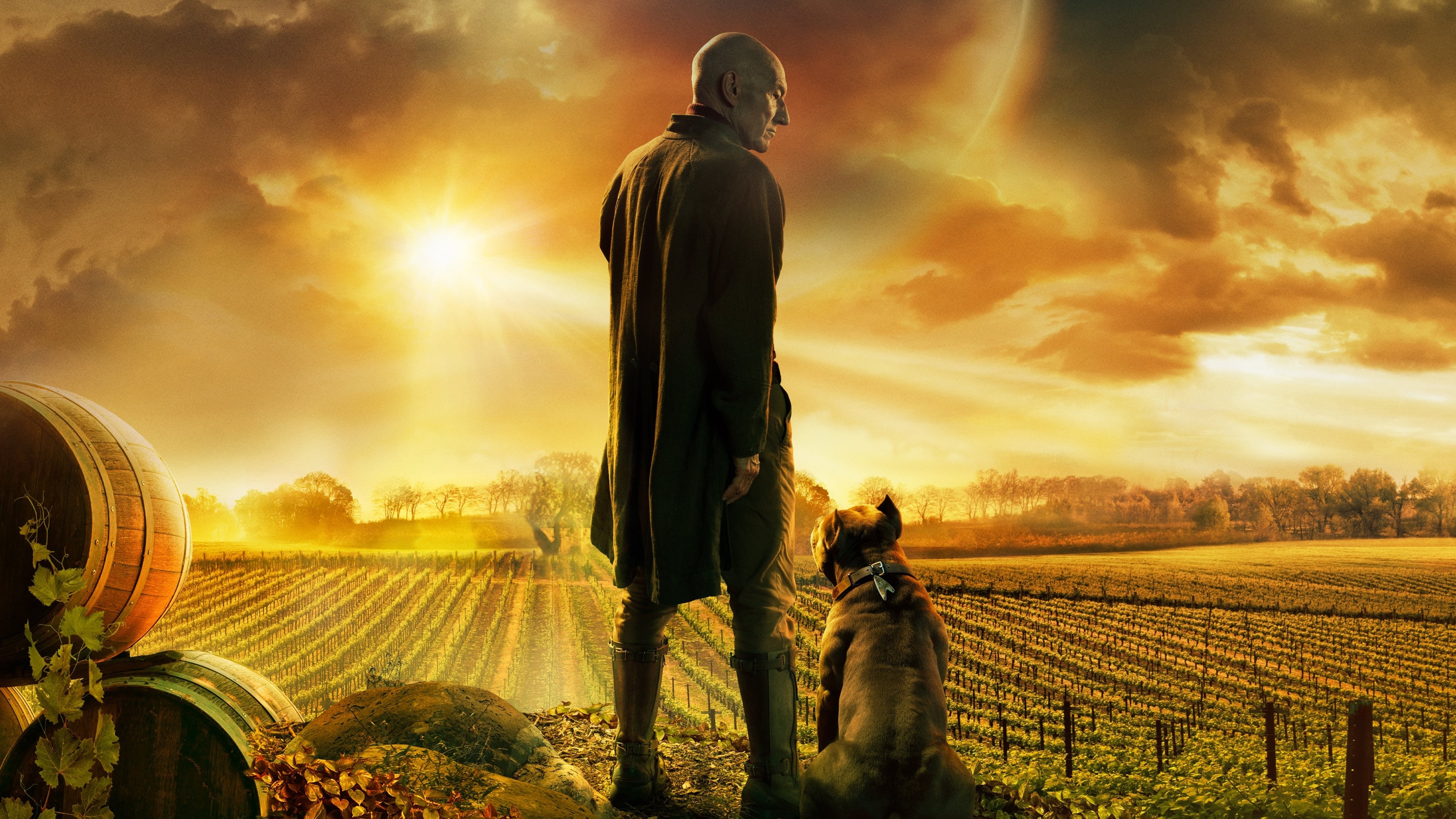 Star Trek: Picard, TV series backdrop, Future-setting, Sci-fi icon, 3840x2160 4K Desktop