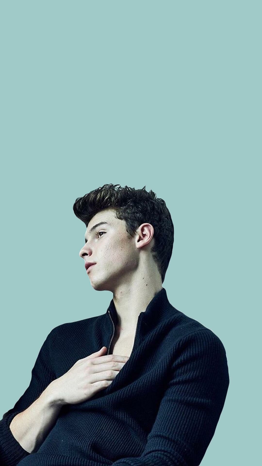 Shawn Mendes, 2019 wallpapers, Artistic images, Musician, 1080x1920 Full HD Phone