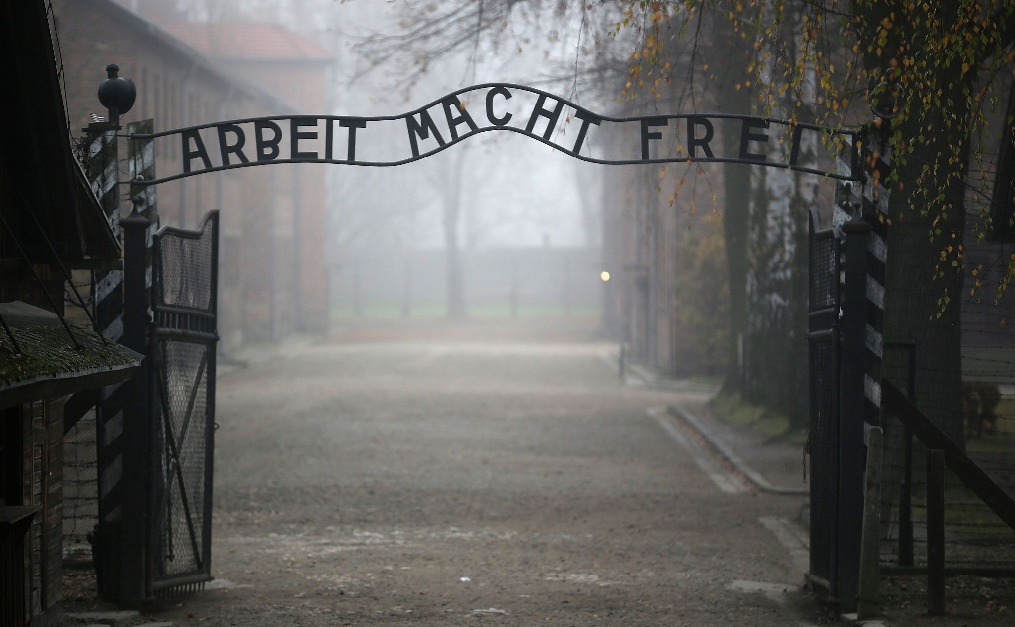 Auschwitz, Peace center proposal, Healing through education, Lessons for future generations, 2050x1270 HD Desktop