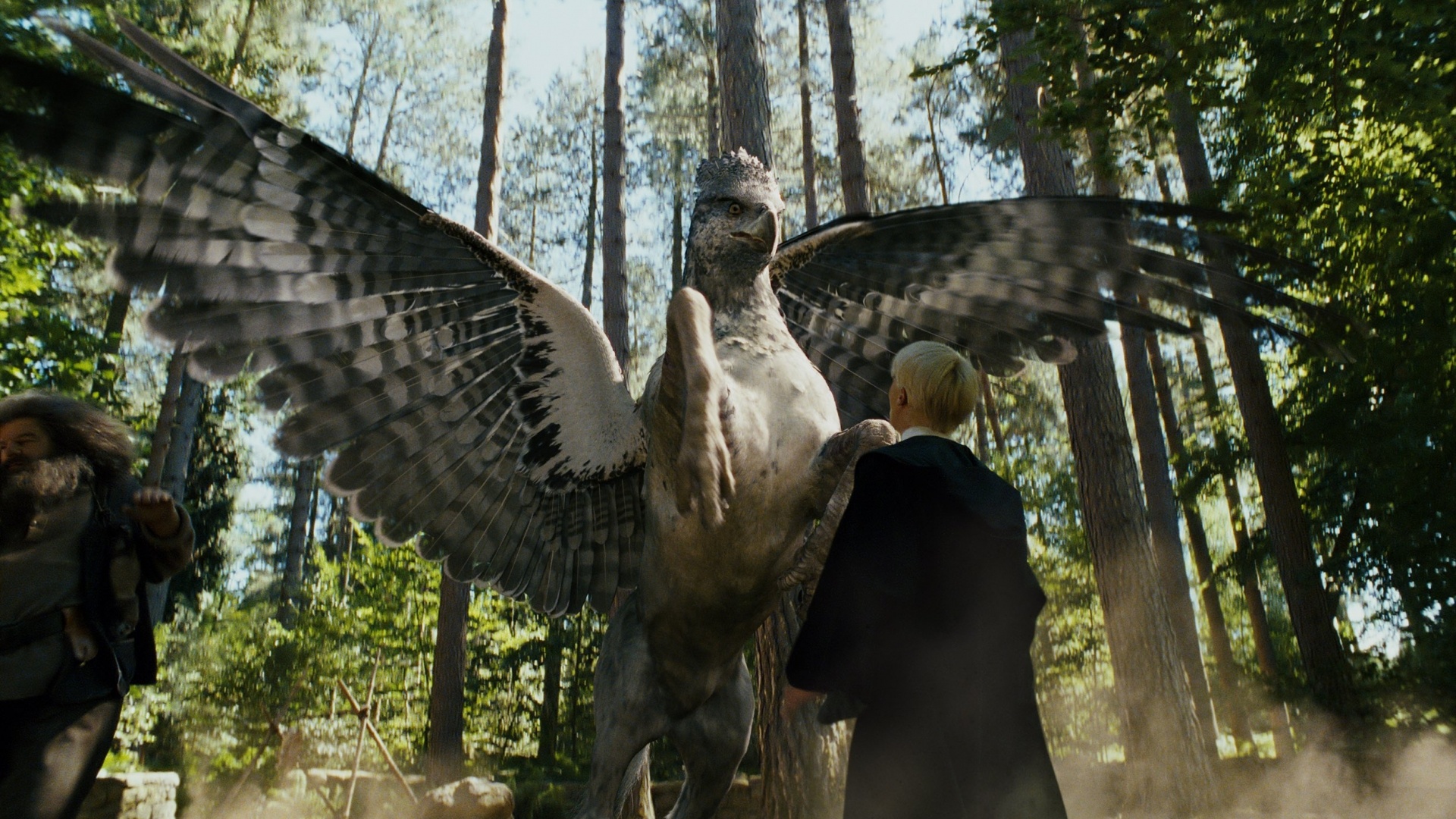 Buckbeak, Movie wallpaper, 1920x1080 Full HD Desktop