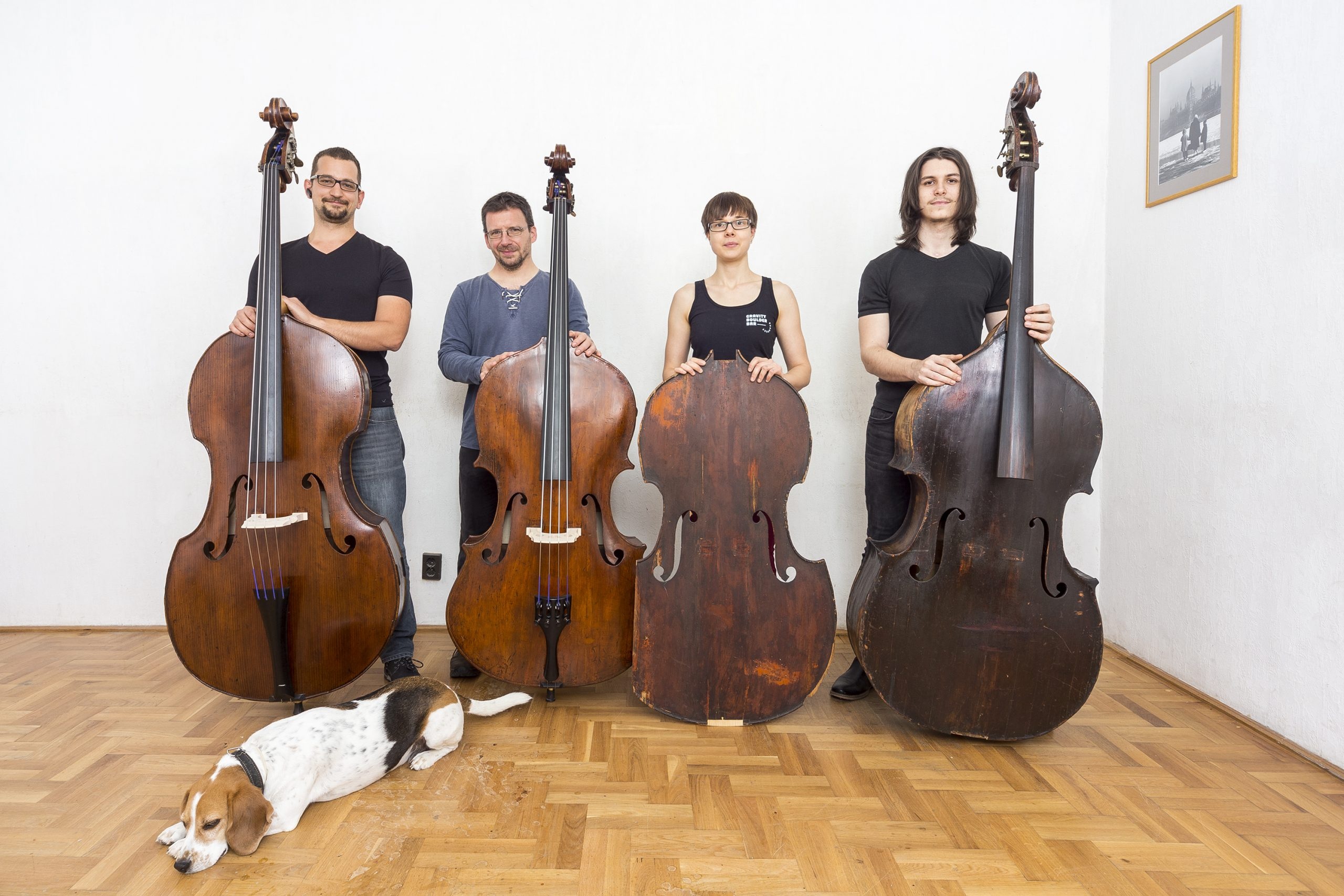 Gellert basses maker, Double bass, Restorer master, Bassist's companion, 2560x1710 HD Desktop