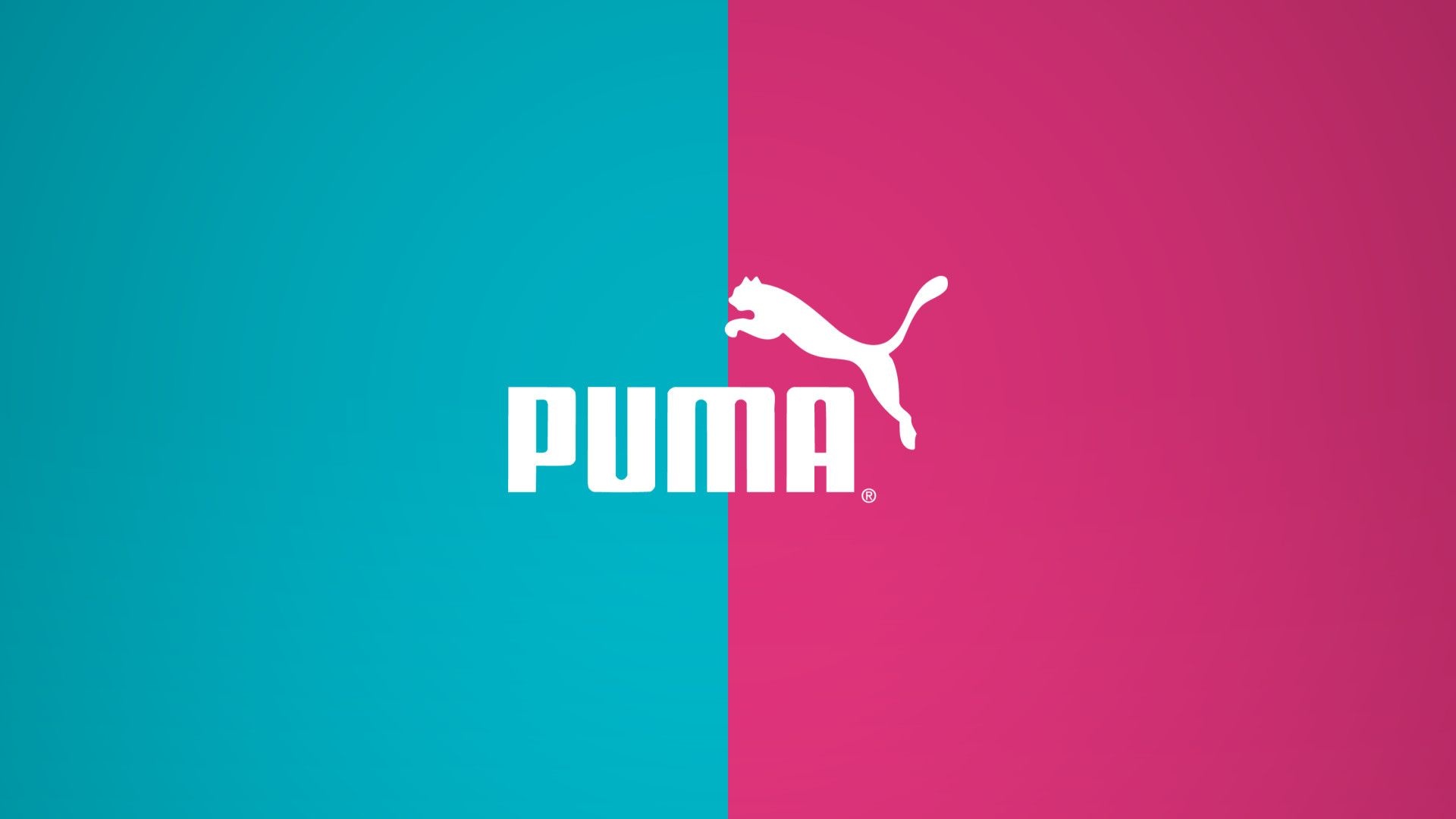 Puma, Cool Puma wallpapers, Top backgrounds, 1920x1080 Full HD Desktop