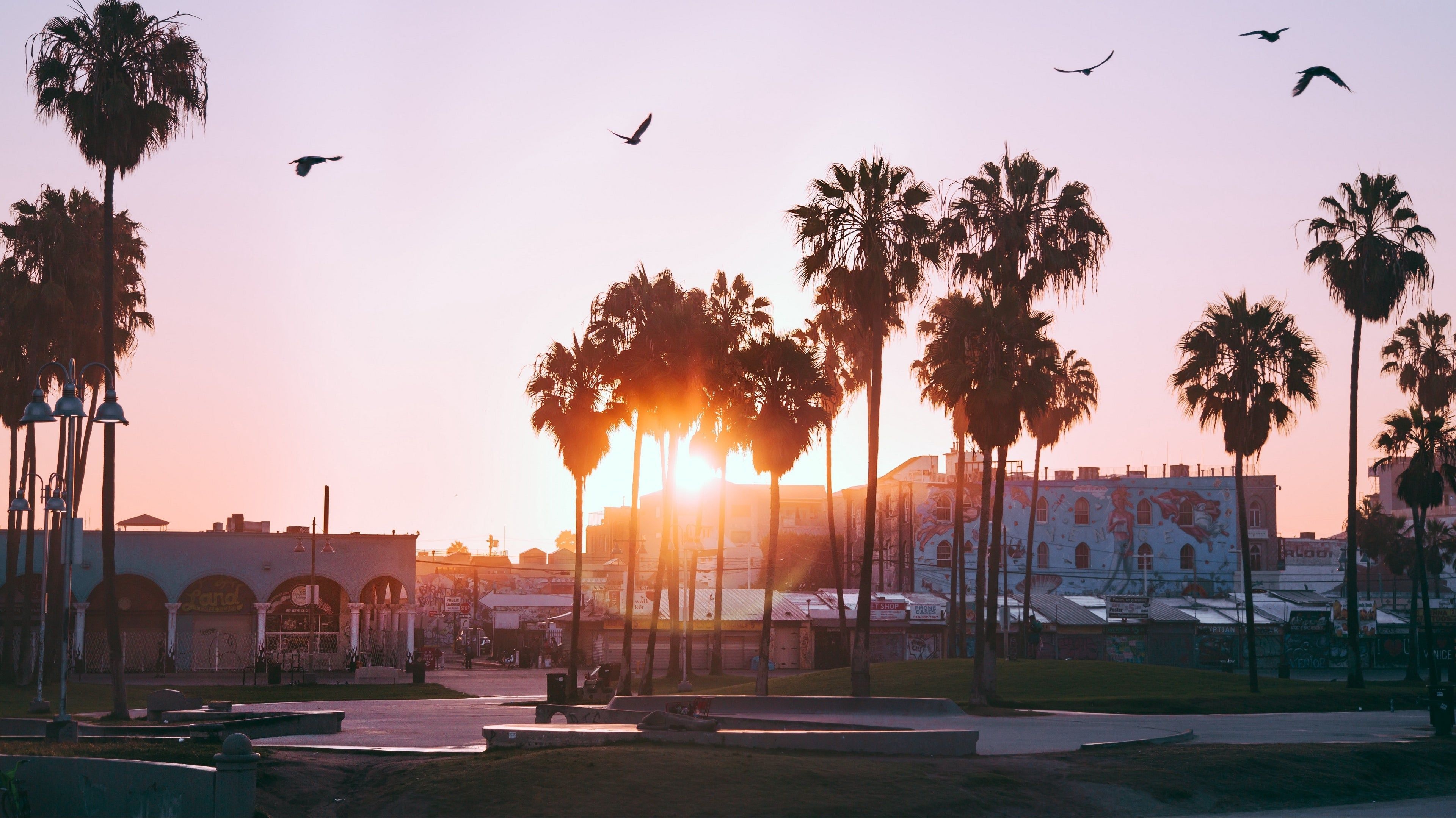 Venice Beach, California Wallpaper, 3840x2160 4K Desktop