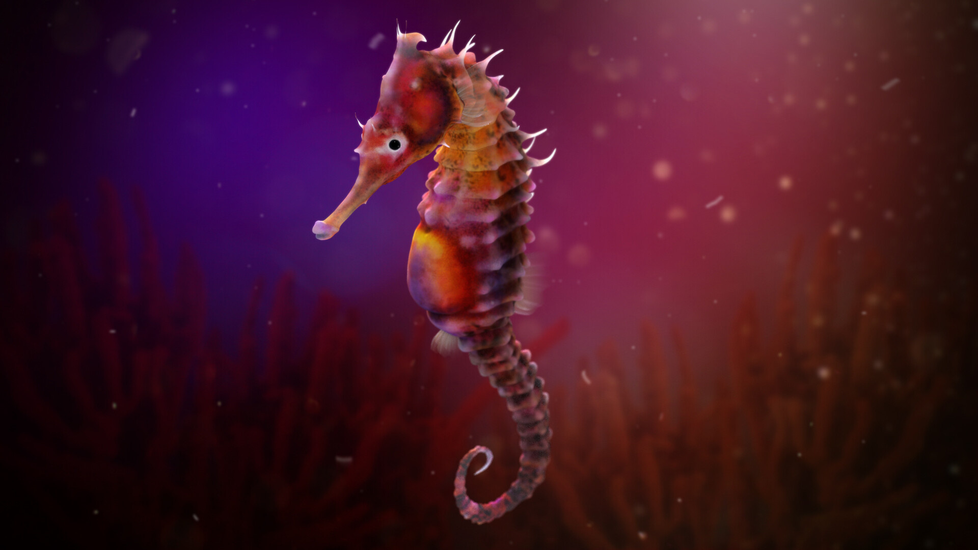 Seahorse, Danka Mangia, 3D artwork, Animals, 1920x1080 Full HD Desktop