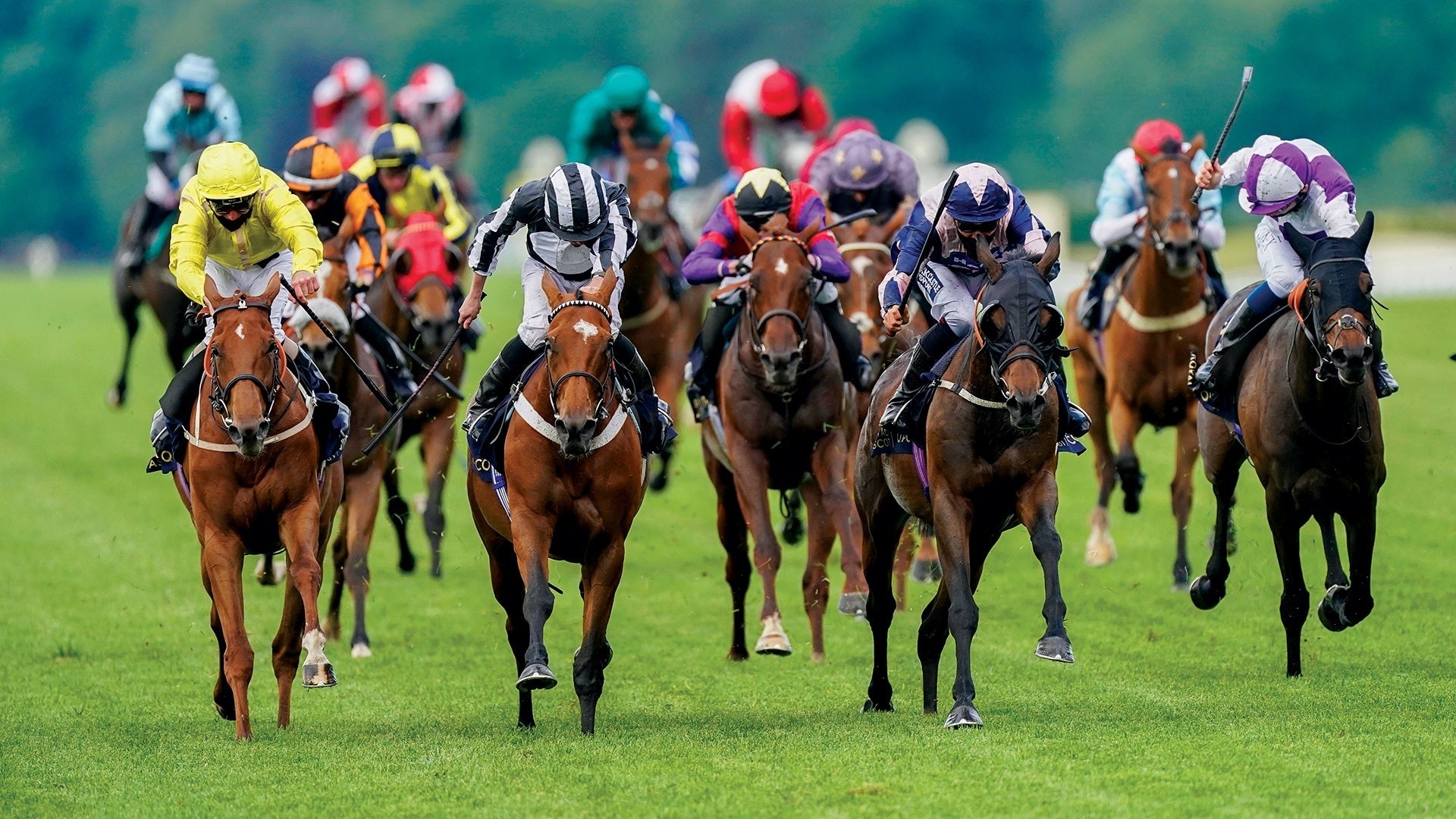 Horse racing excitement, Thrilling horse race, Equestrian adrenaline, High-speed sport, 1920x1080 Full HD Desktop