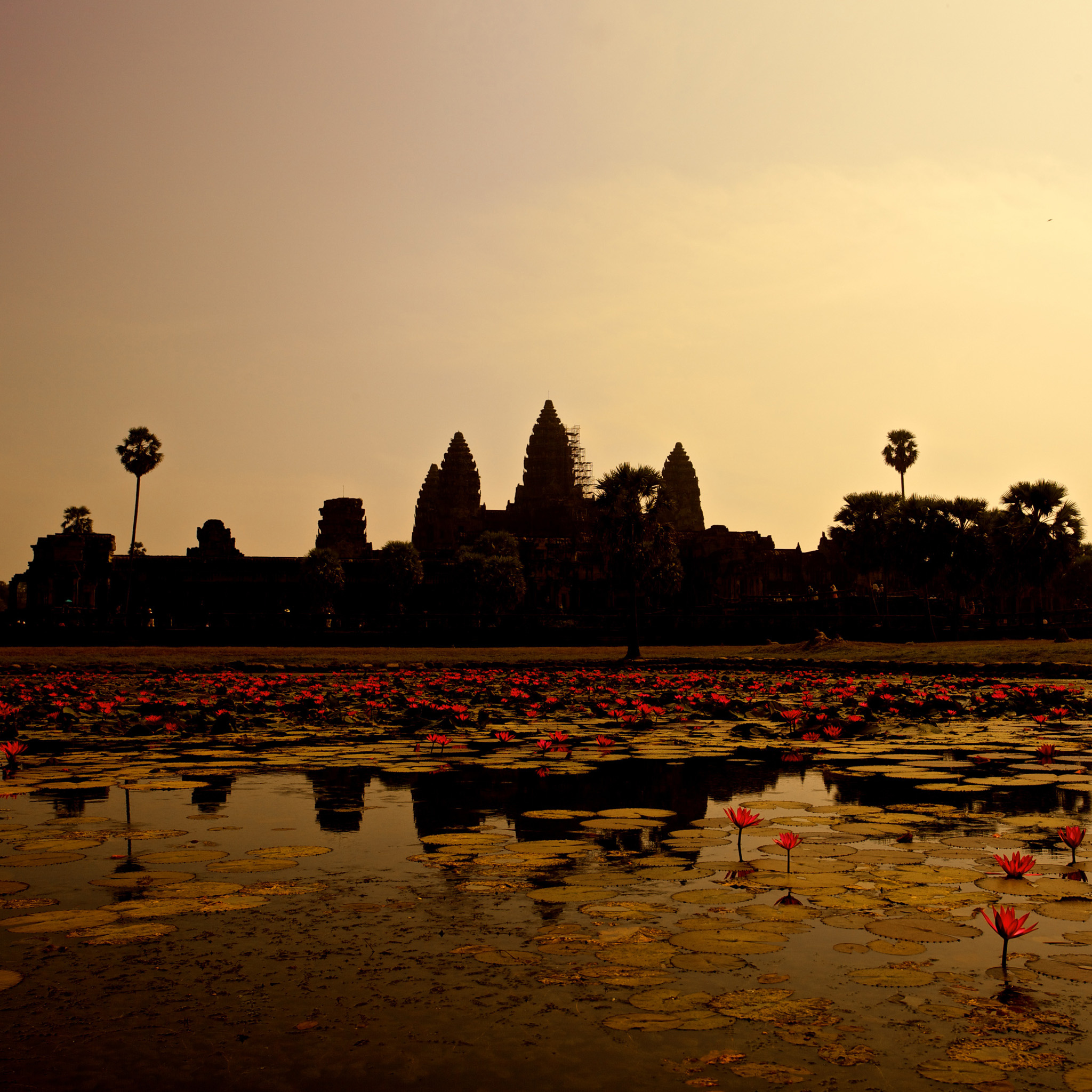 Cambodian Temple, iPad Wallpaper, 2050x2050 HD Phone