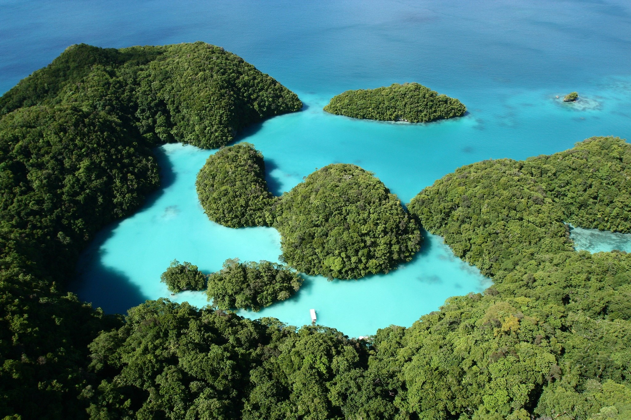 Palau, Life expectancy facts, The Borgen Project, Sustainable living, 2050x1370 HD Desktop