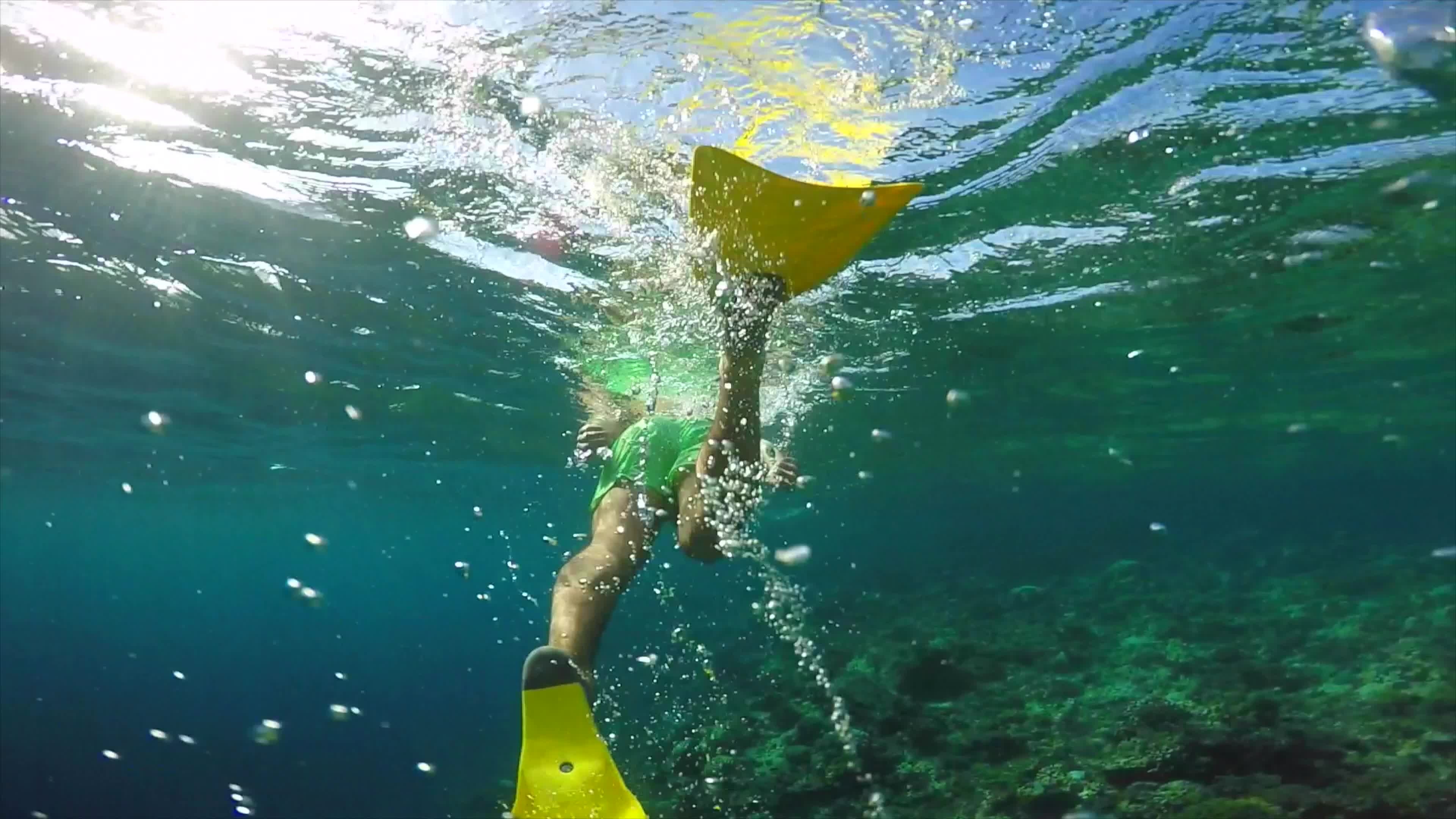 Snorkeling, Man with Yellow Fins, Coral Reef, 3840x2160 4K Desktop