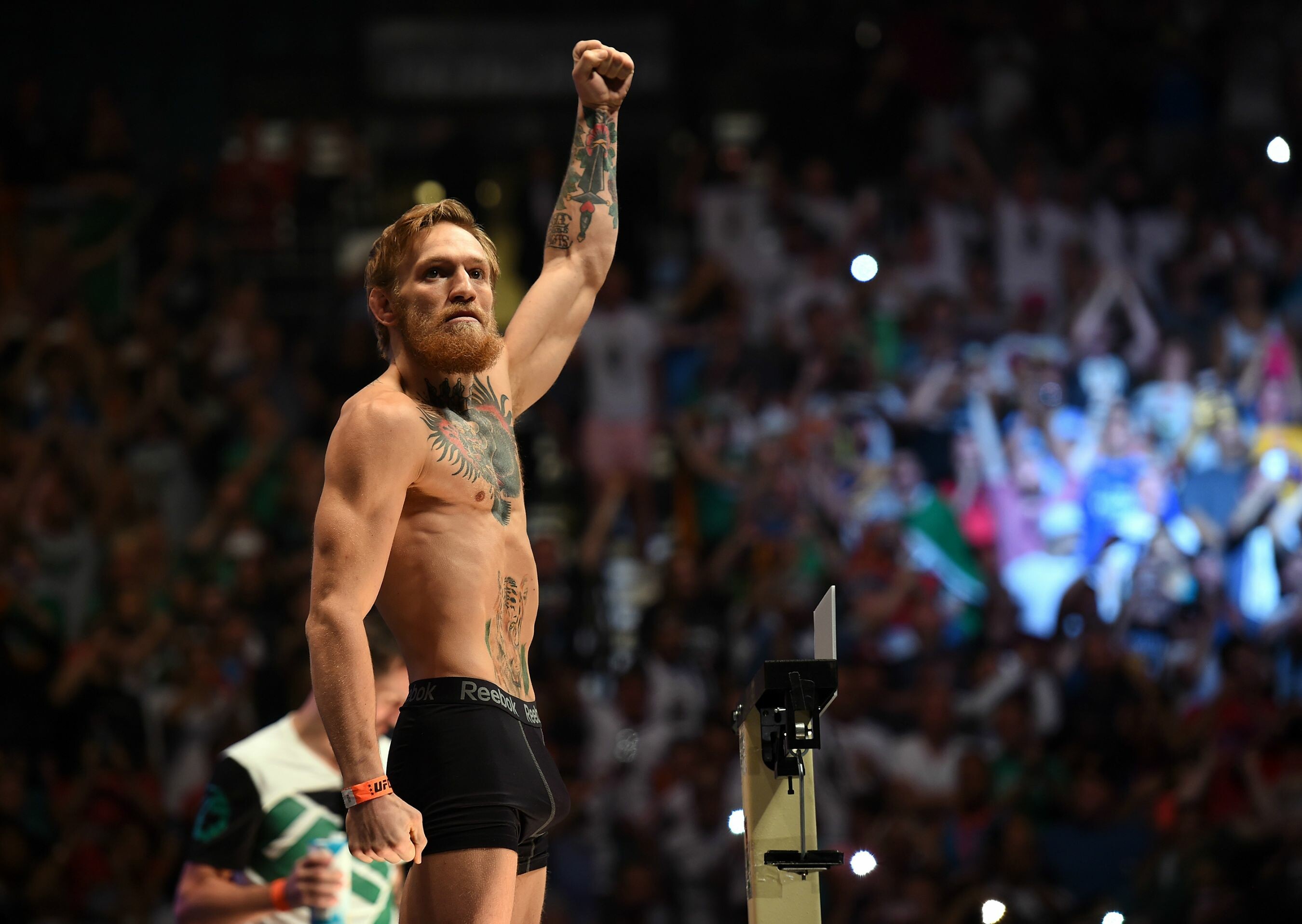 Conor McGregor, Wallpapers and backgrounds, Celeb, 2700x1920 HD Desktop