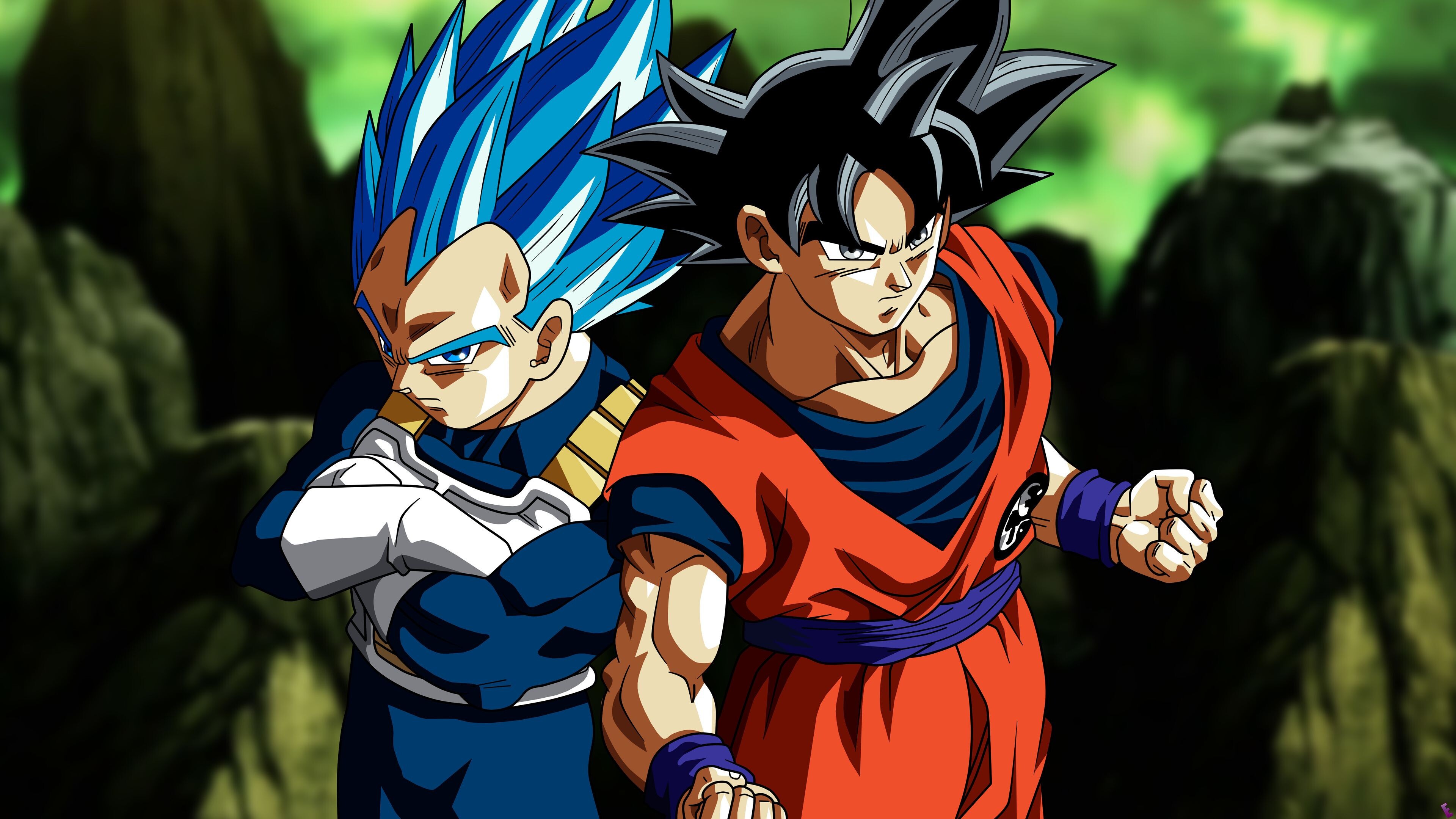 Vegeta, Goku Wallpaper, 3840x2160 4K Desktop