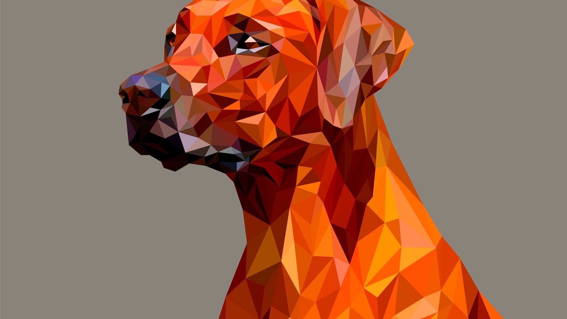 Dog, Facets Wallpaper, 1920x1080 Full HD Desktop