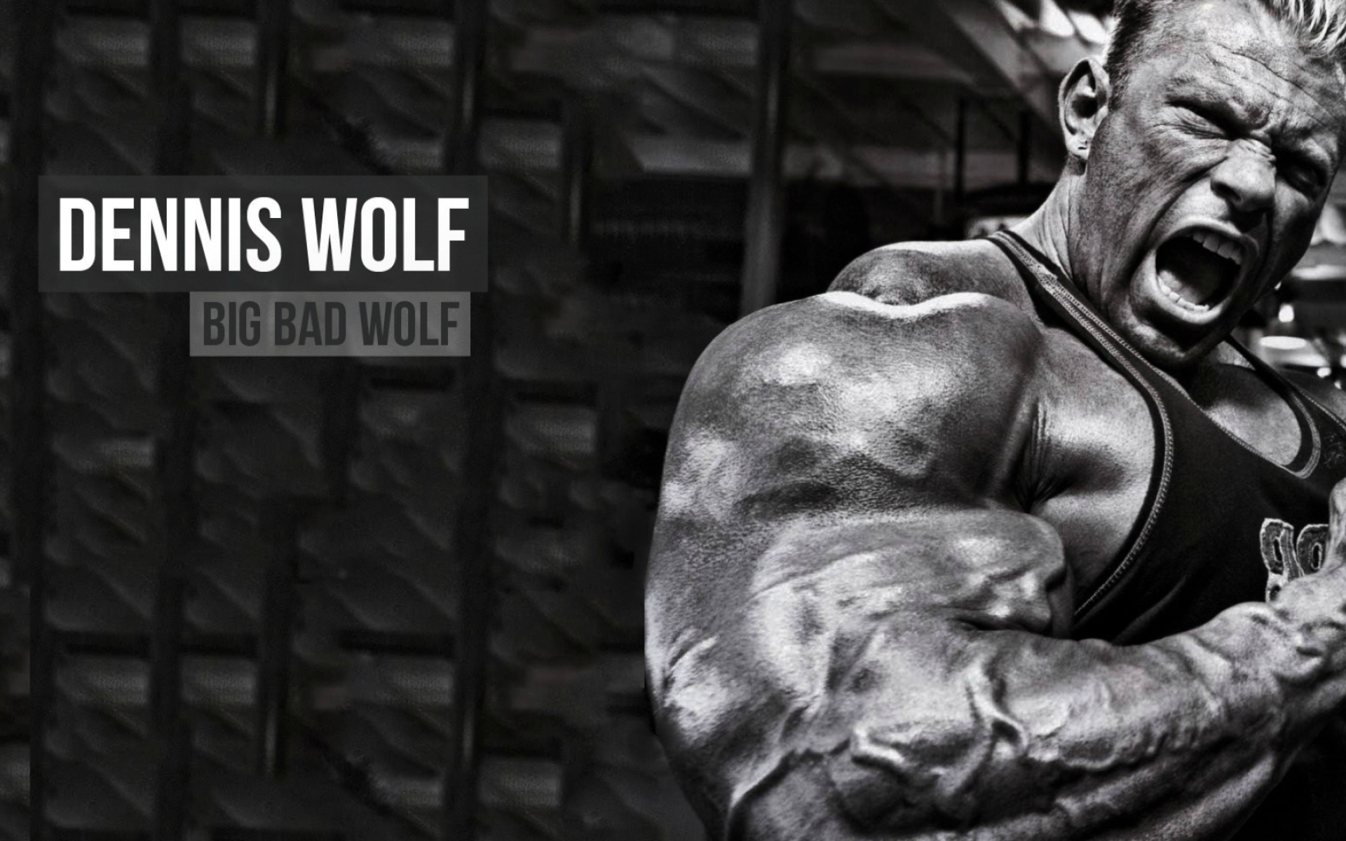 Dennis Wolf, Bodybuilding Wallpaper, 1920x1200 HD Desktop