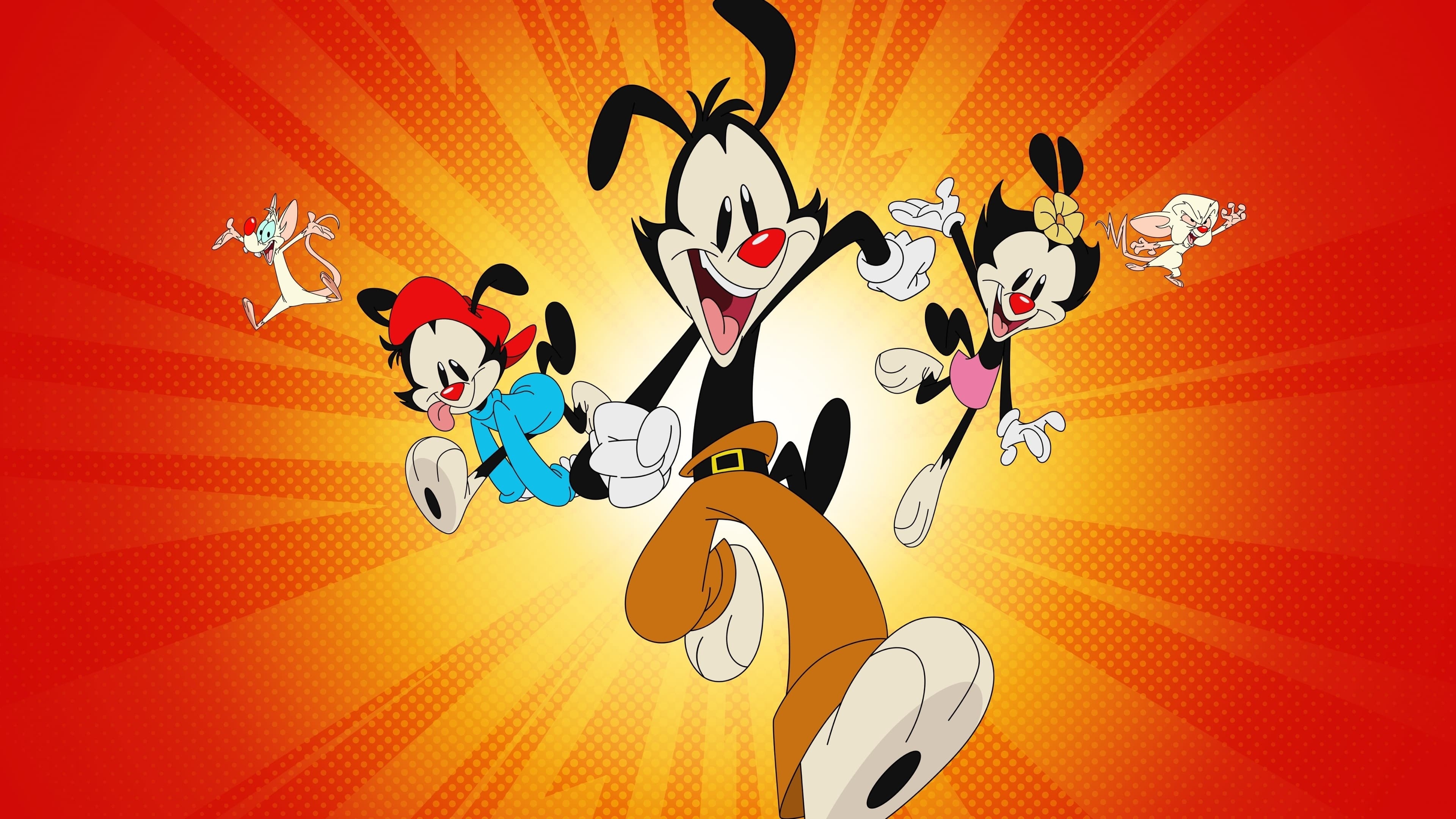 Animaniacs 2020 4K wallpaper, Ultra HD background, Nostalgic cartoon, Memorable characters, 3840x2160 4K Desktop