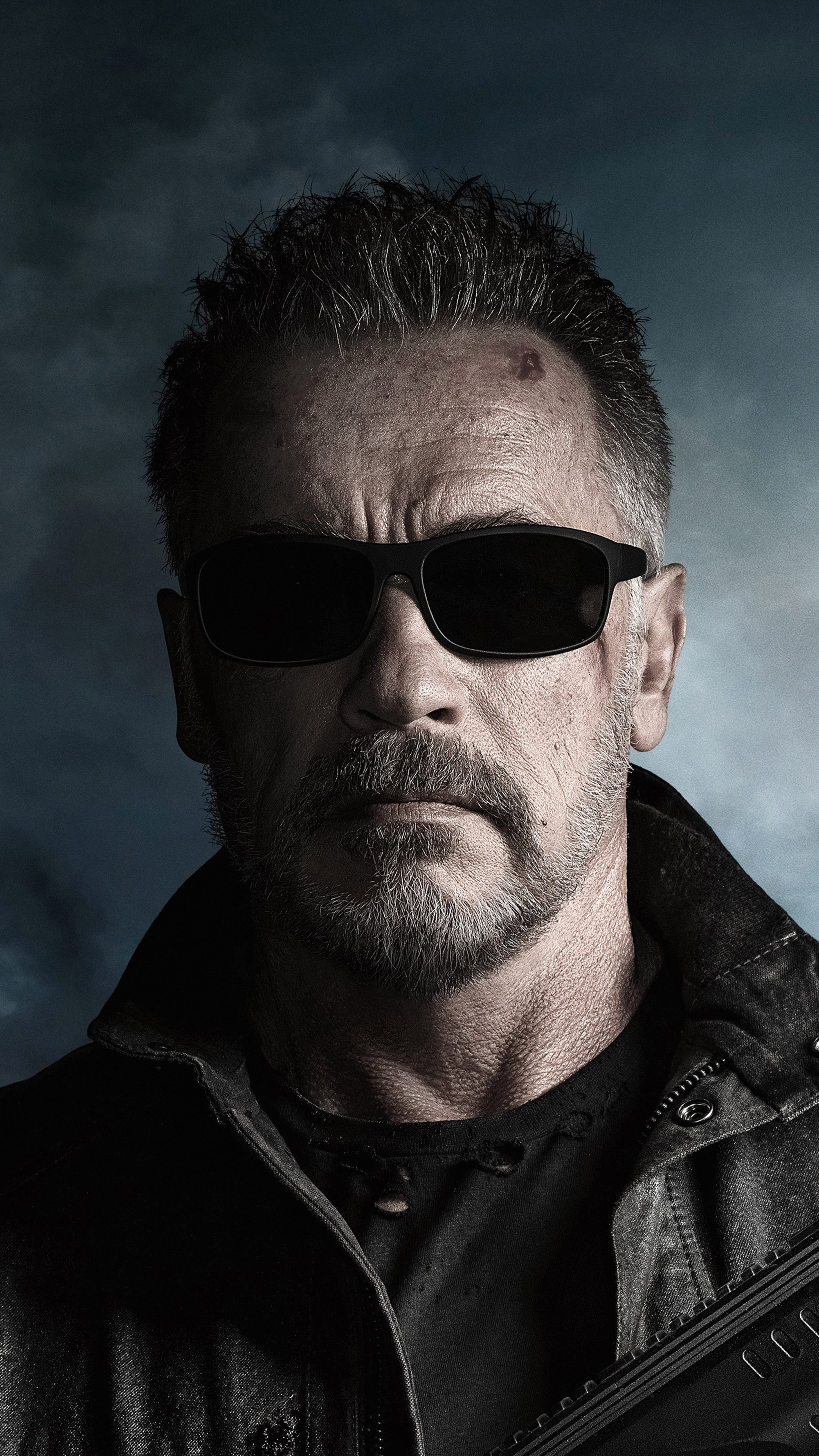 Arnold Schwarzenegger, The Terminator Wallpaper, 2160x3840 4K Phone