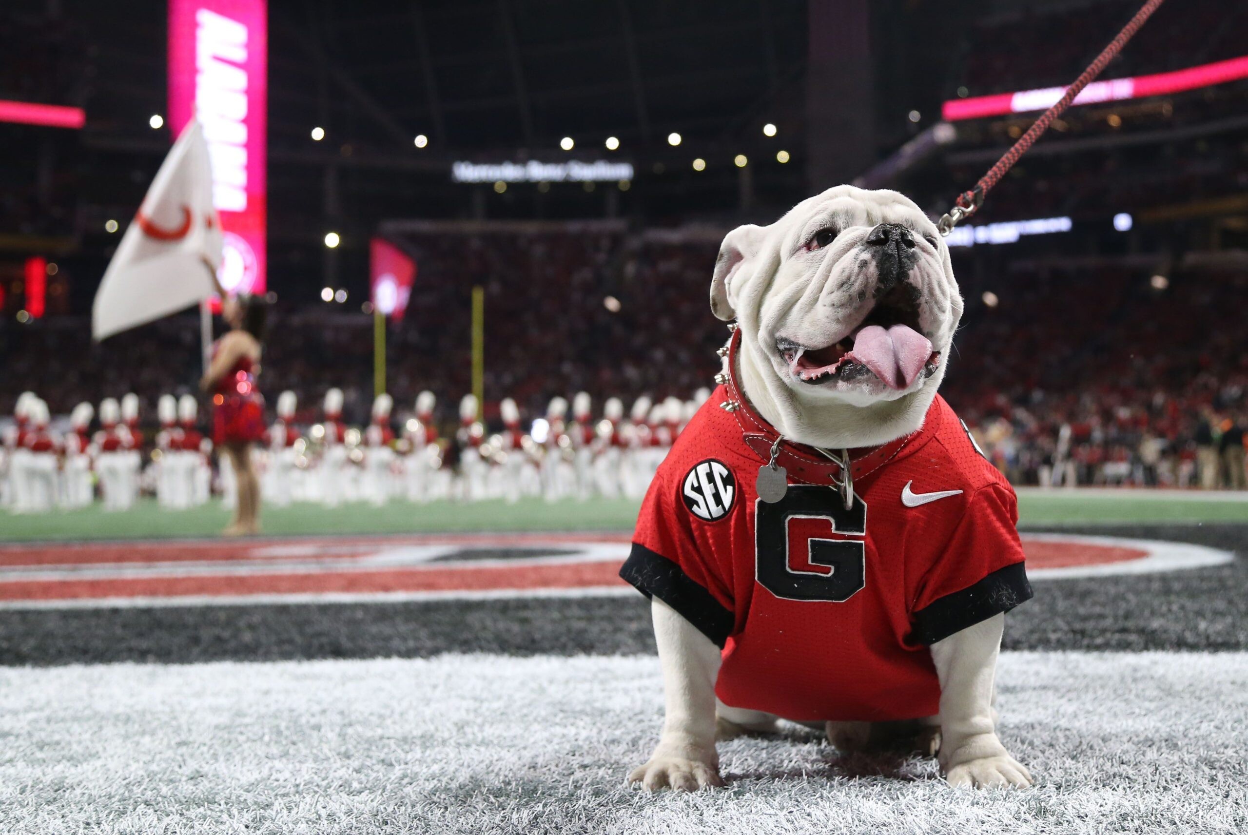 Georgia Bulldogs wallpaper, Sports team, College athletics, Team pride, 2560x1720 HD Desktop