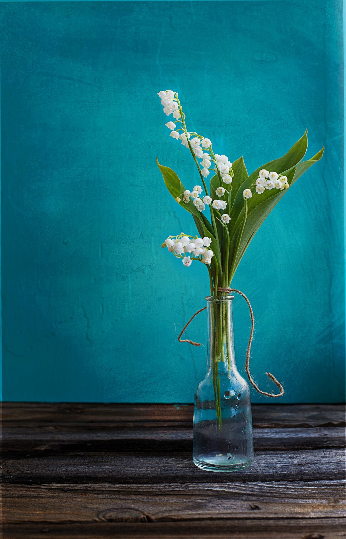 Vase, Lilies of the Valley Wallpaper, 1320x2050 HD Phone