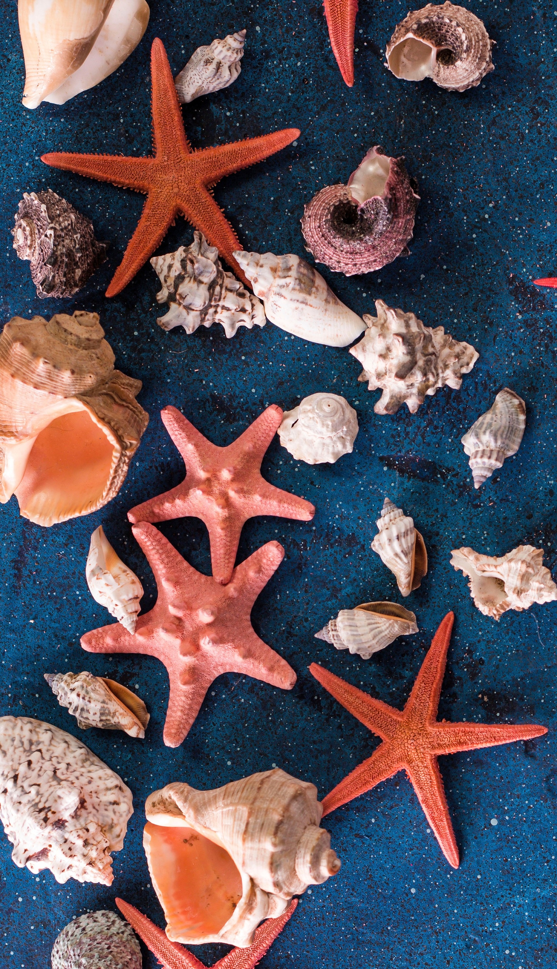 Sea star beach towel, Seashell and starfish design, Beach accessories, Coastal fashion statement, 1840x3200 HD Phone