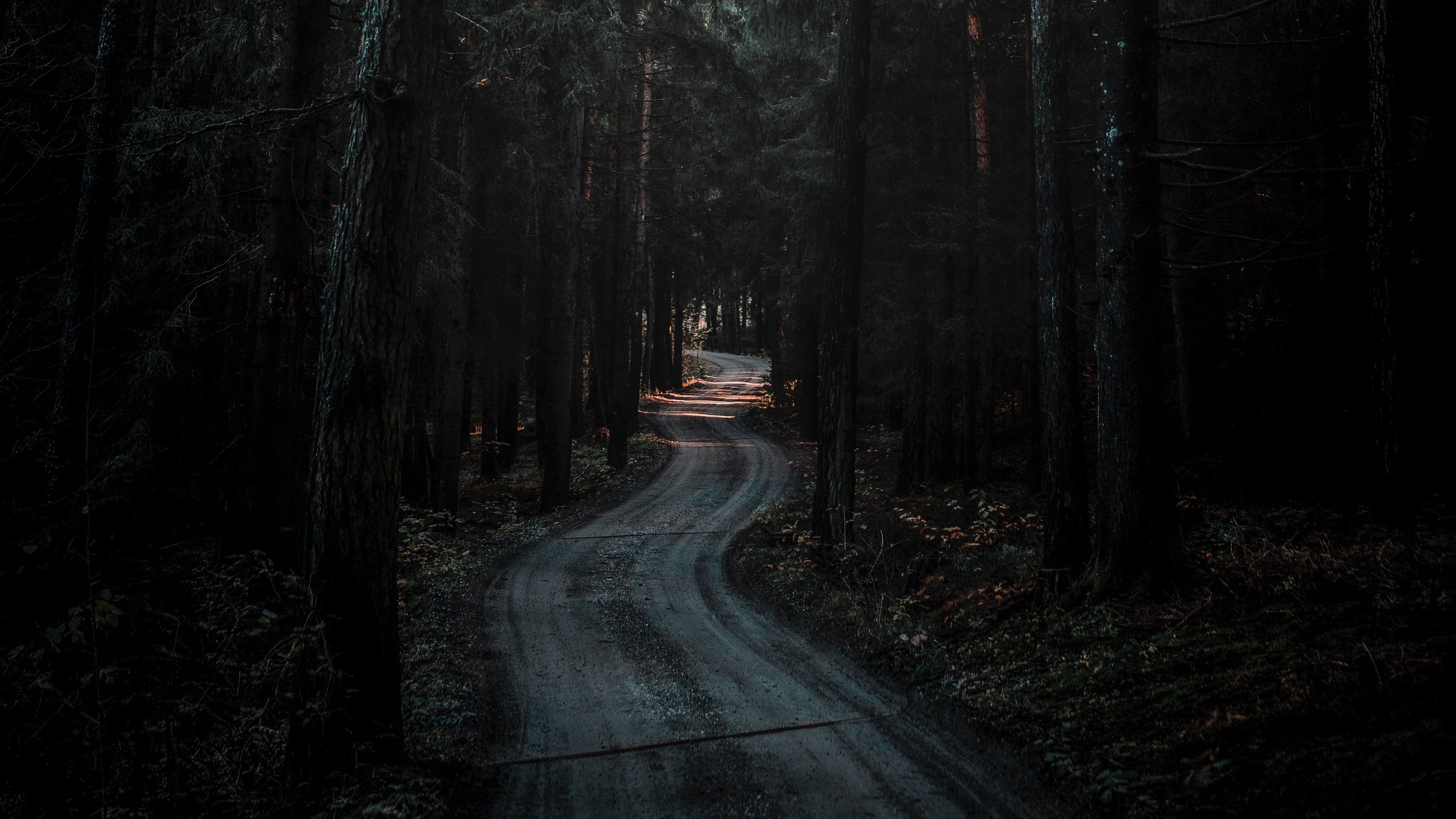 Forest road, Dark Wallpaper, 3840x2160 4K Desktop