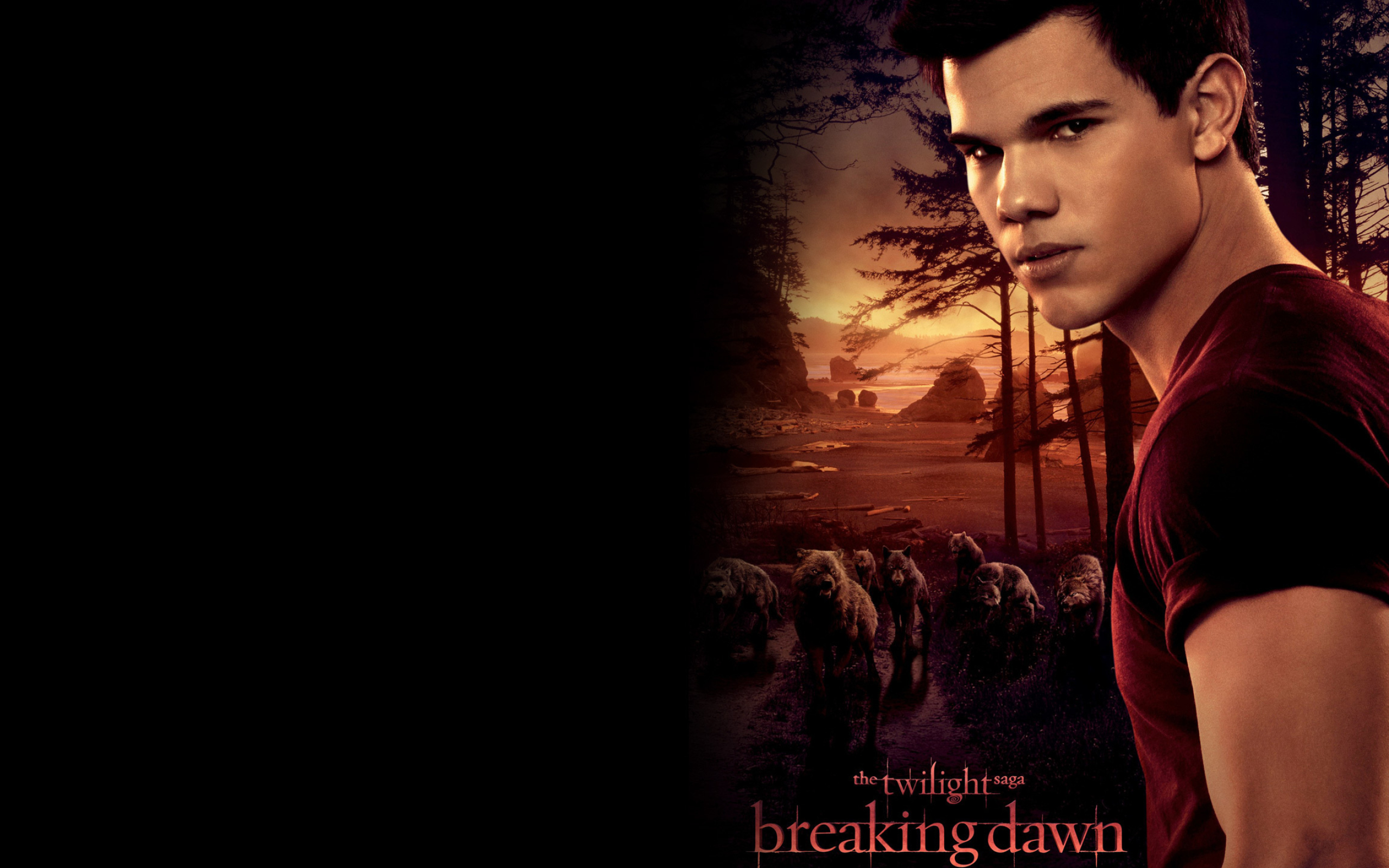 Jacob Black, Wallpaper, Movie wallpapers, High definition, 2560x1600 HD Desktop