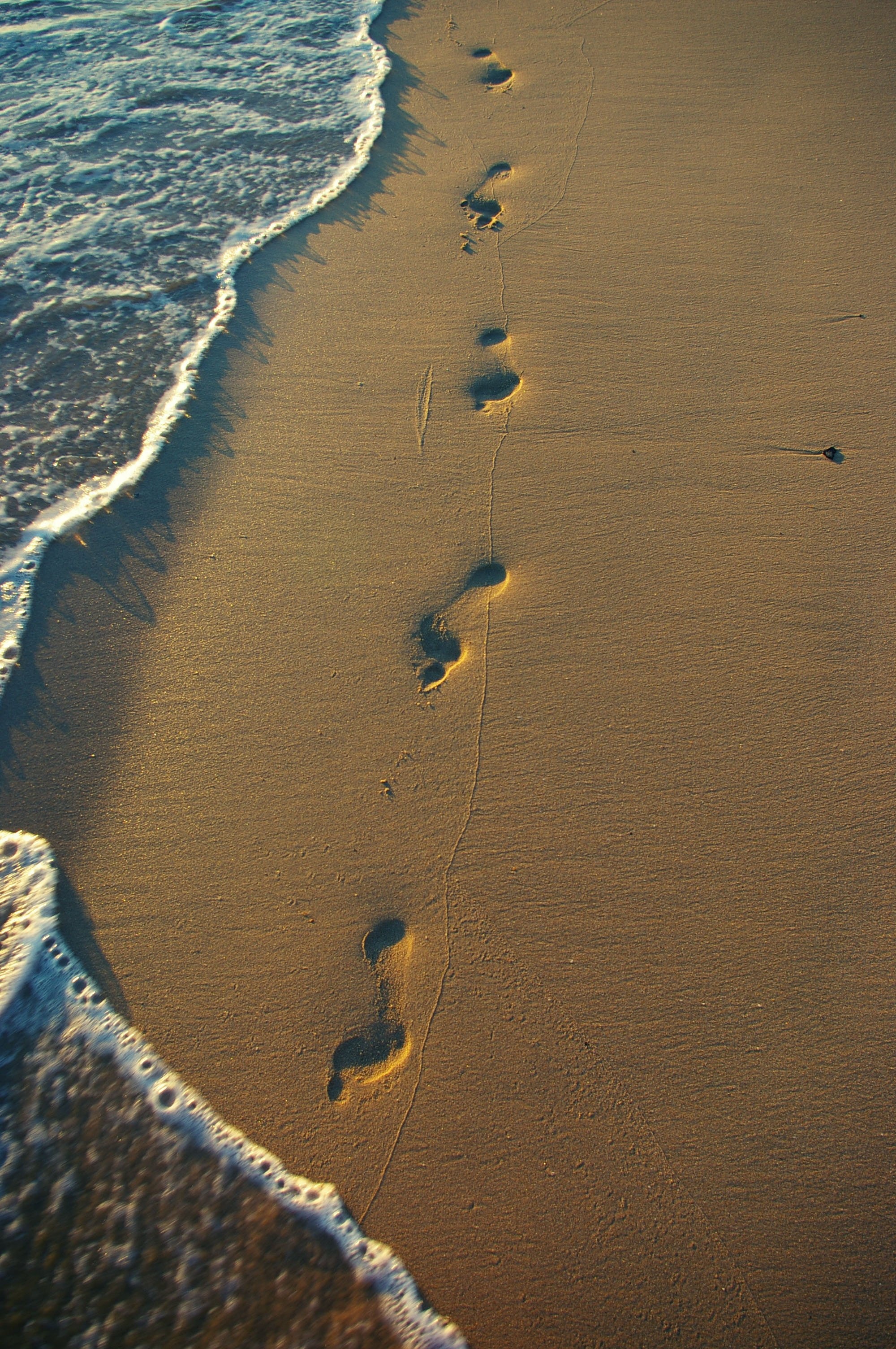 Shoreline, Footprints in the Sand Wallpaper, 2000x3010 HD Phone