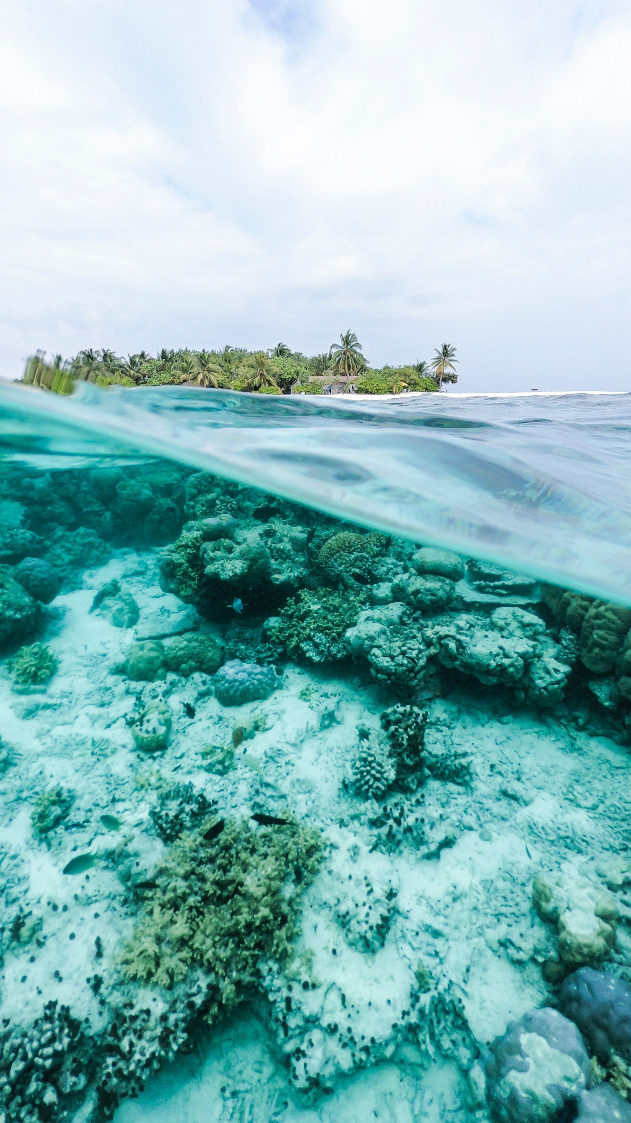 Coral Sea, Travels, Underwater sea, Tropical island, 2160x3840 4K Phone