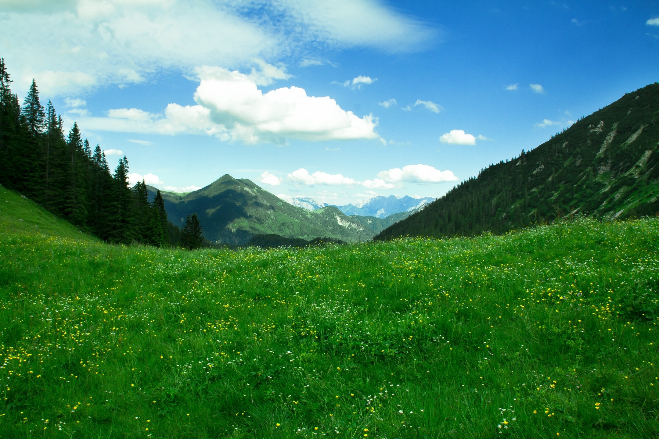 Switzerland mountainous landforms, Highland natural landscape, Grass valley, Pasture alps, 2160x1440 HD Desktop