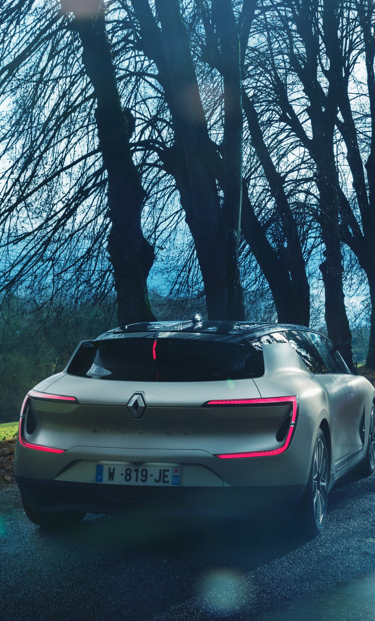 Symbioz, Renault Wallpaper, 1280x2120 HD Phone