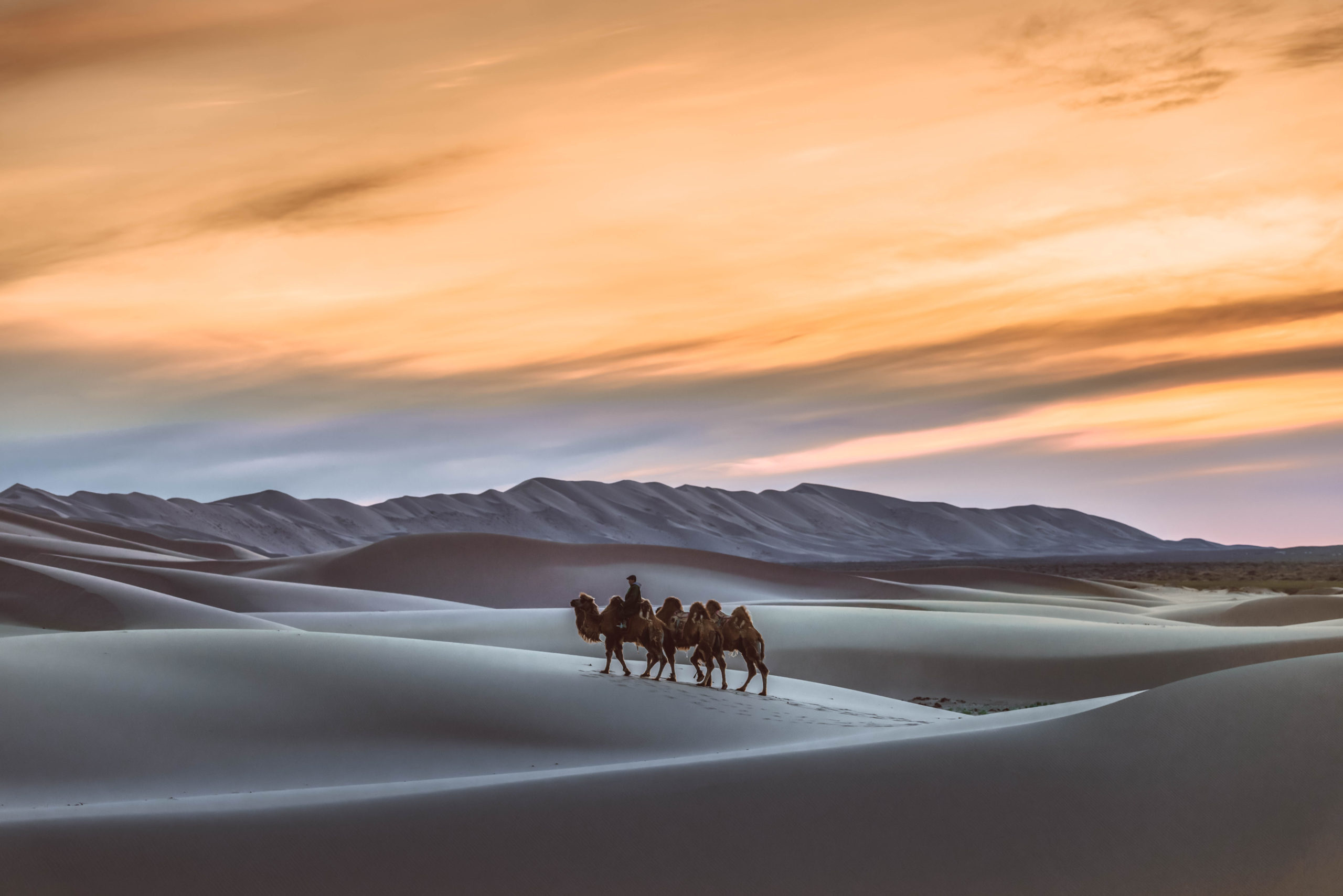 Gobi Desert, Mongolia Wallpaper, 2560x1710 HD Desktop