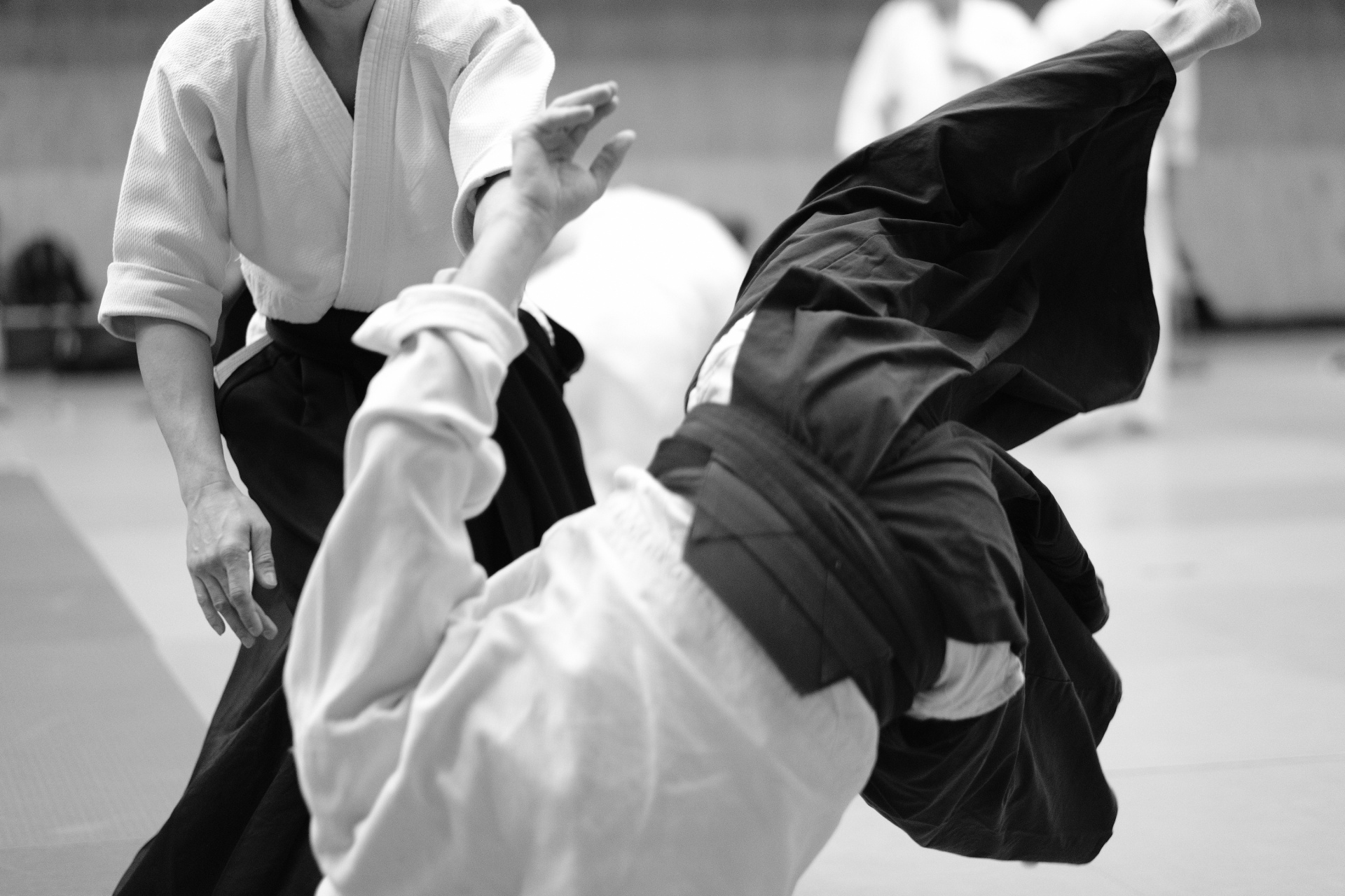 Aikido, Self-defence, Mackay, 1920x1280 HD Desktop