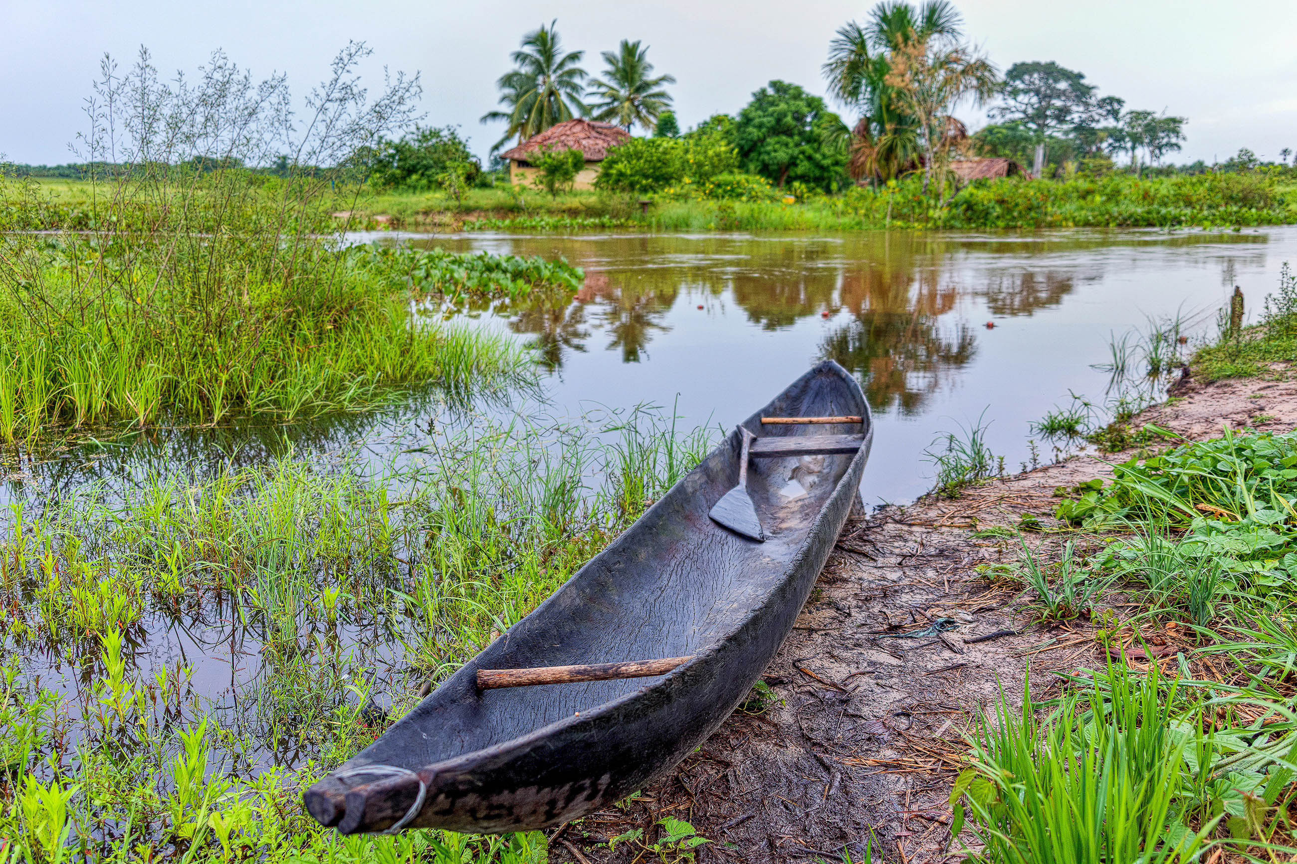 Orinoco River, Breathtaking views, Wildlife sanctuary, Tropical paradise, 2600x1740 HD Desktop