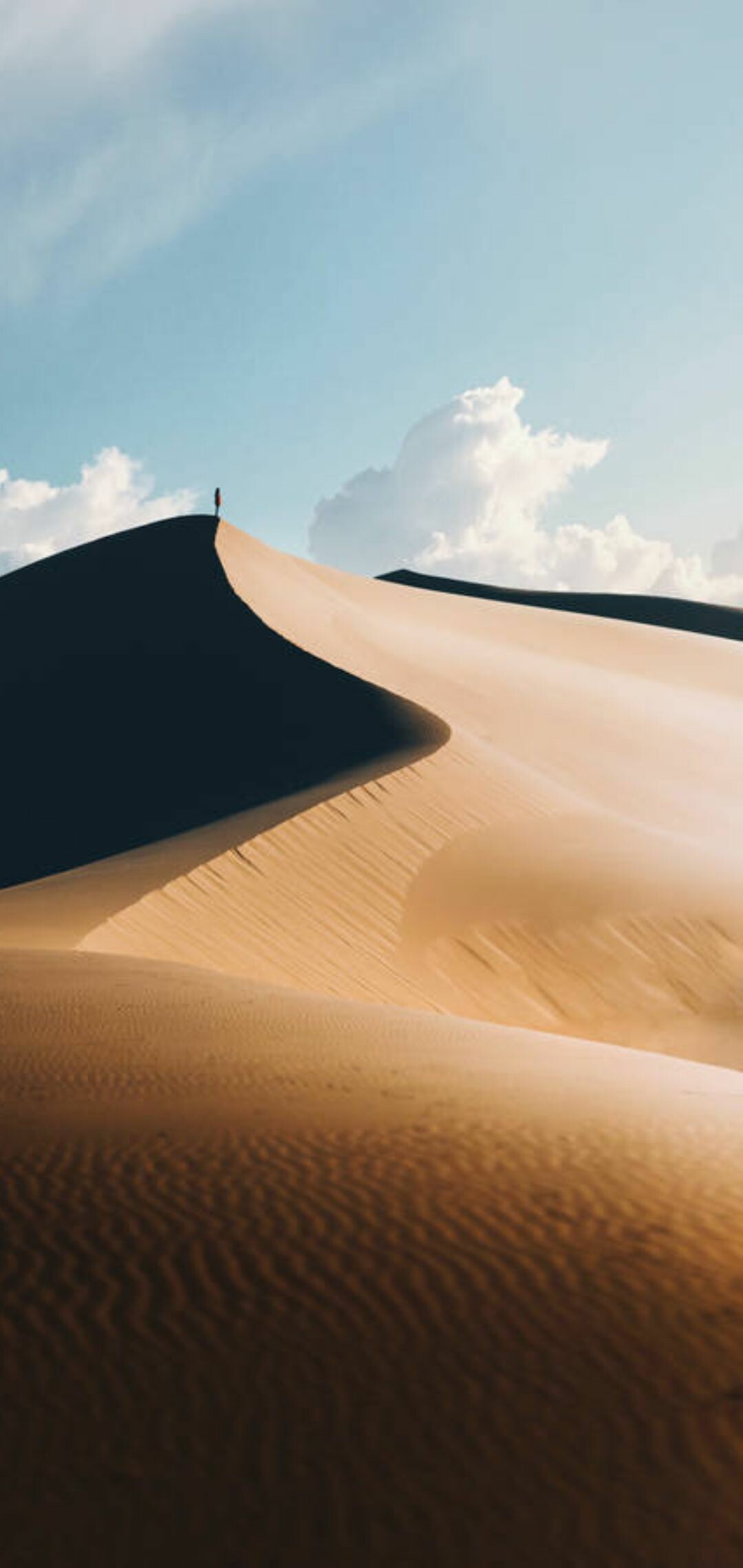 4K desert wonders, Nature's marvels, Sands of time, Immersed in dunes, 1080x2280 HD Phone