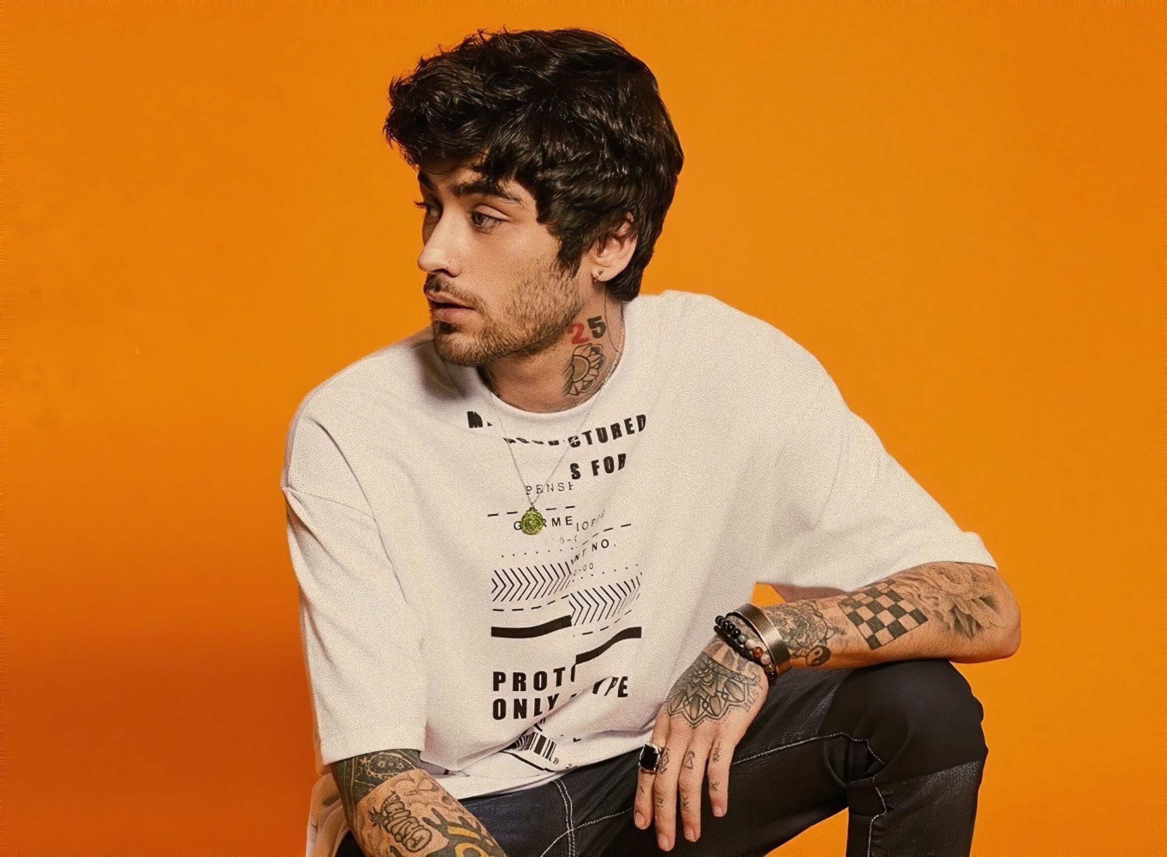 Zayn Malik, 2020 wallpapers, Fresh aesthetics, Modern vibes, 2350x1730 HD Desktop