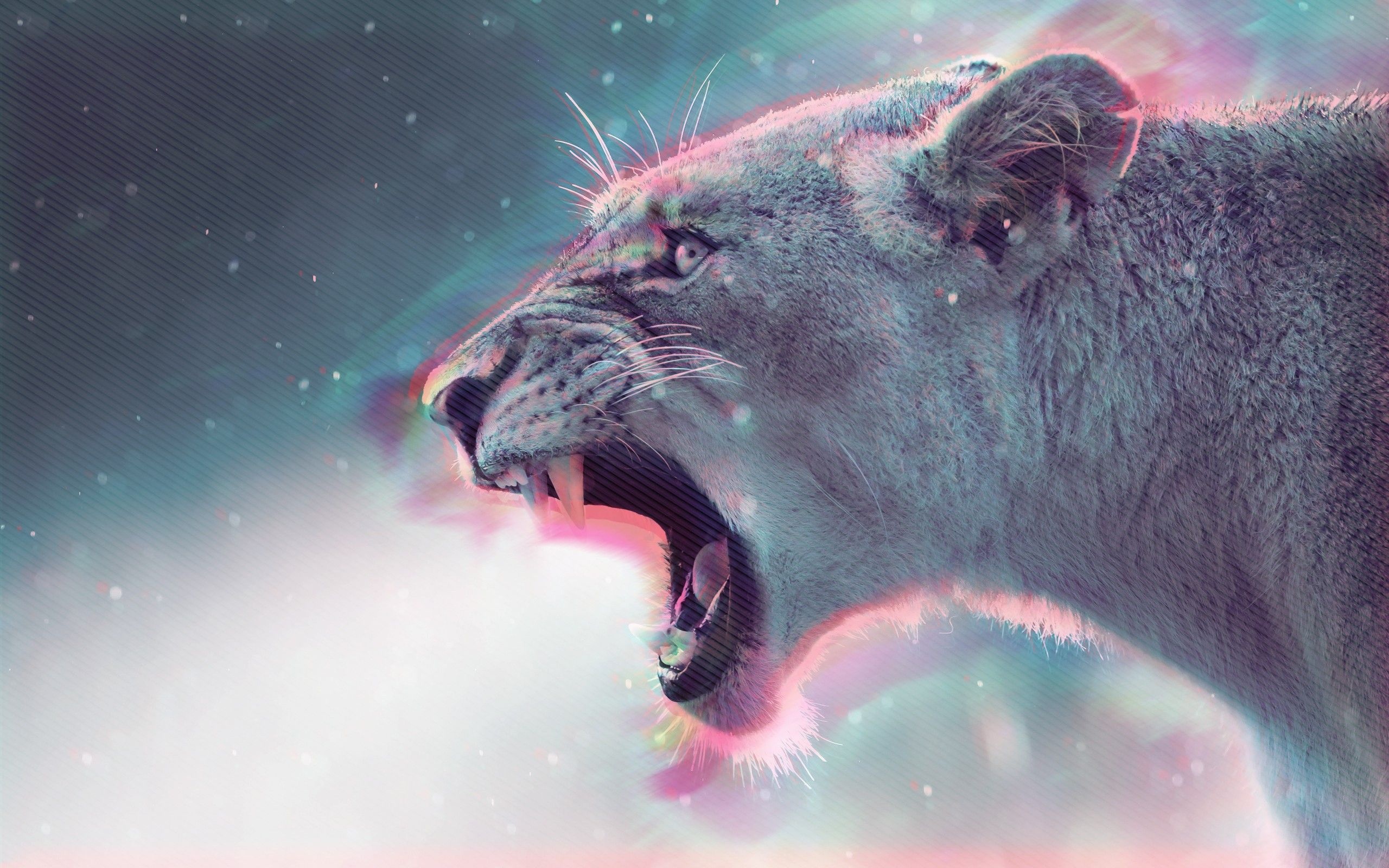 Lion, Hipster Wallpaper, 2560x1600 HD Desktop