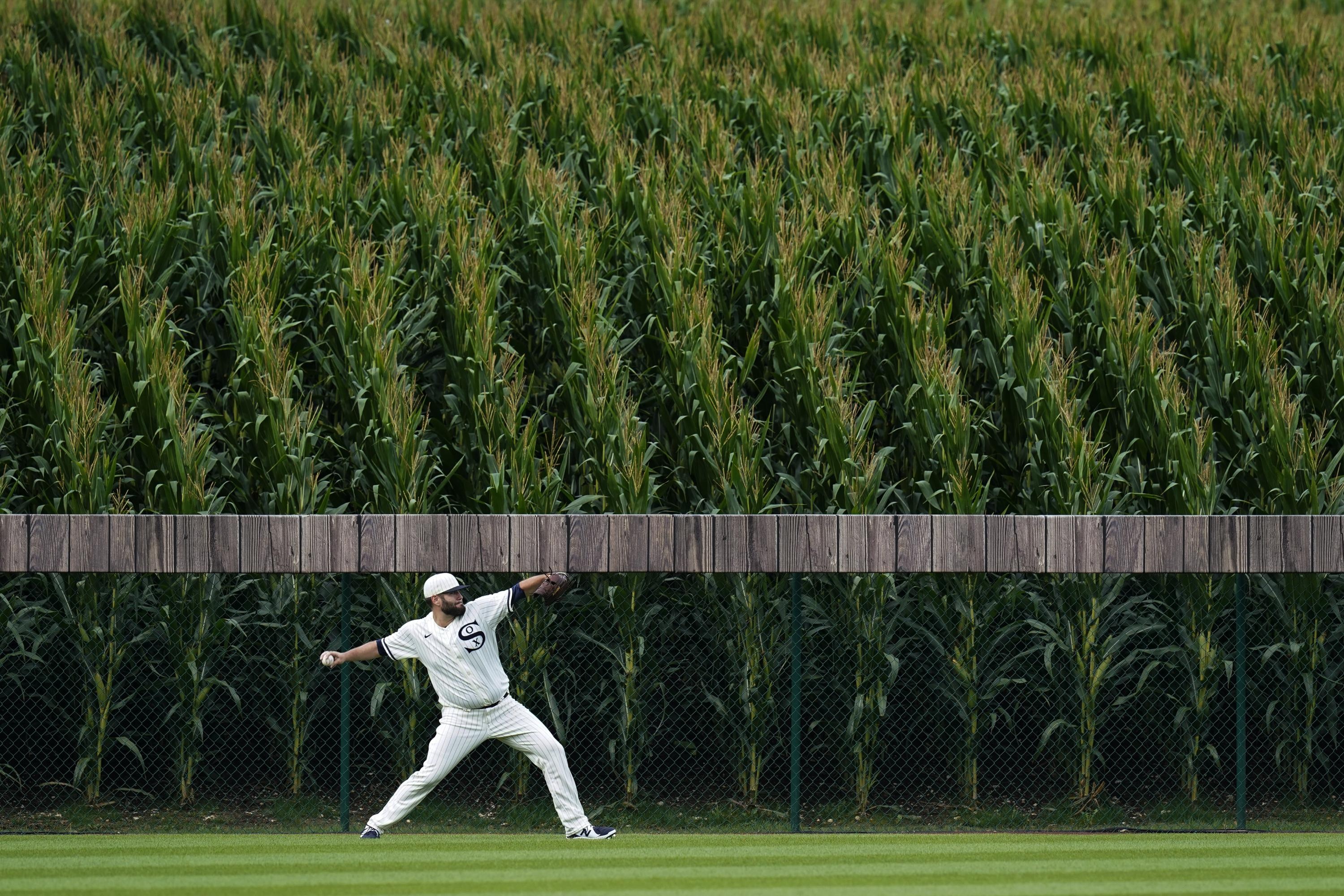 Field of Dreams, Iowa, Cornfield, Baseball hosts, 3000x2000 HD Desktop