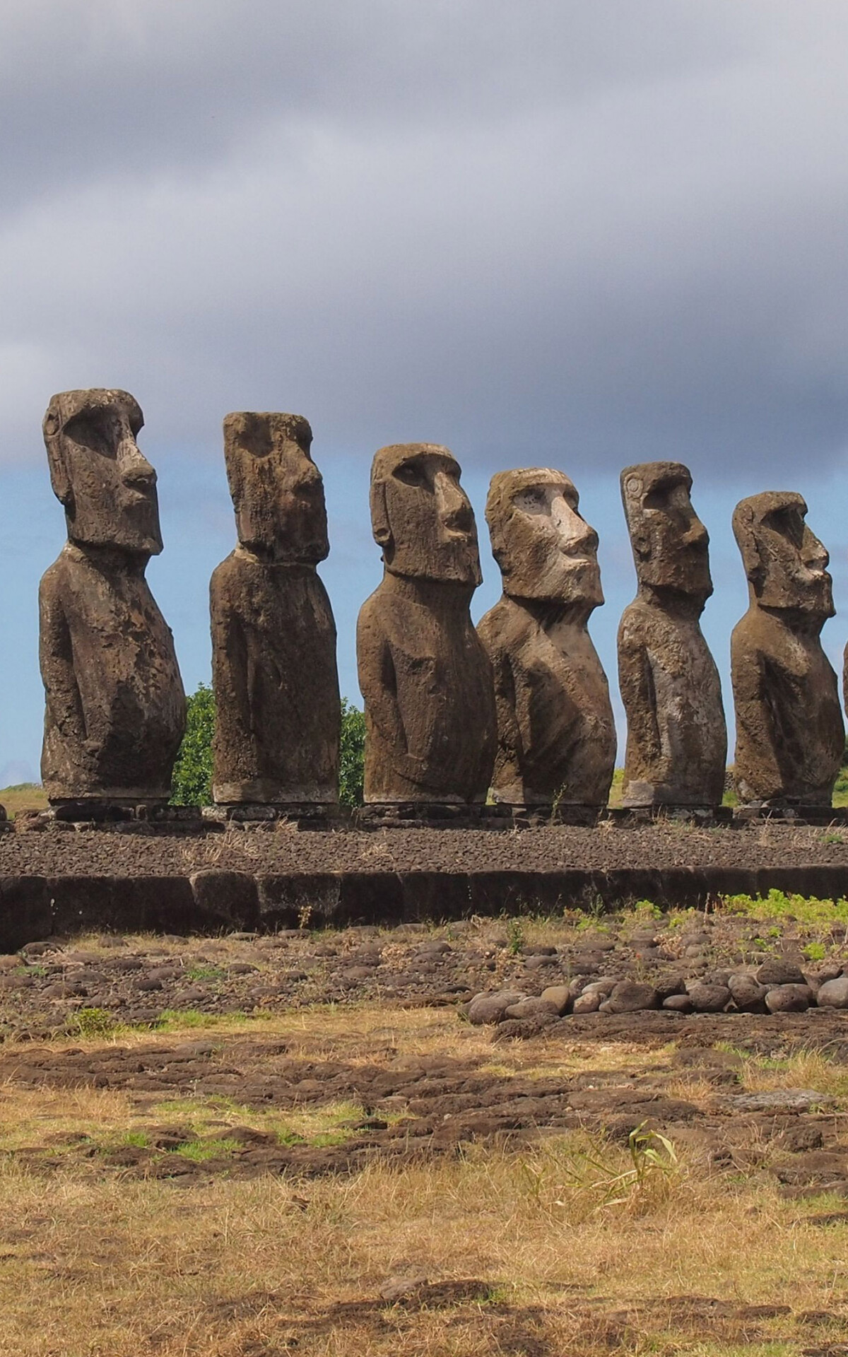 Moai wallpaper, World wonders, Mysterious statues, Enigmatic allure, 1200x1920 HD Phone