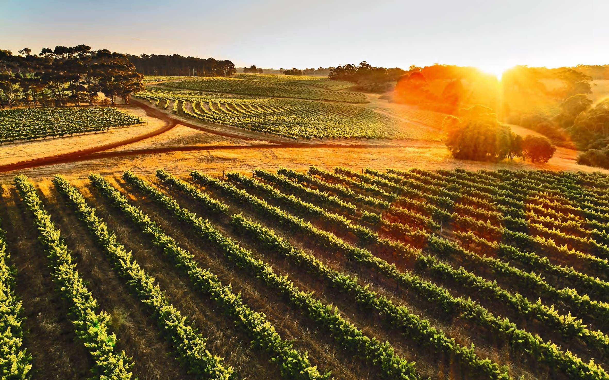 Beautiful wineries and vineyards, Design and architecture, Cellar door experience, Gorgeous book, 2370x1480 HD Desktop