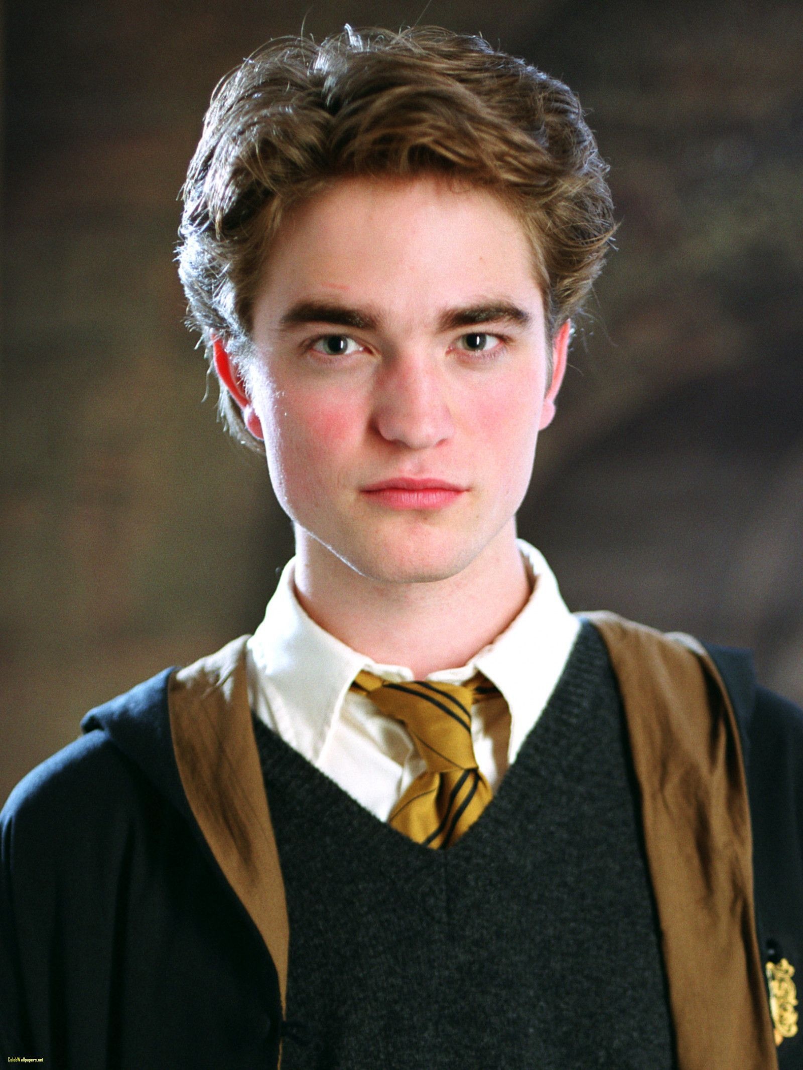 Cedric Diggory, Wallpapers, 1600x2140 HD Phone