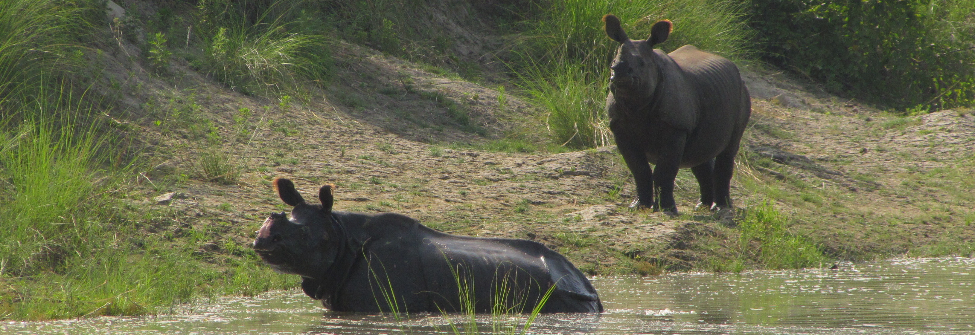 Chitwan National Park, Trekking adventure, Wilderness exploration, Scenic trails, 3260x1130 Dual Screen Desktop