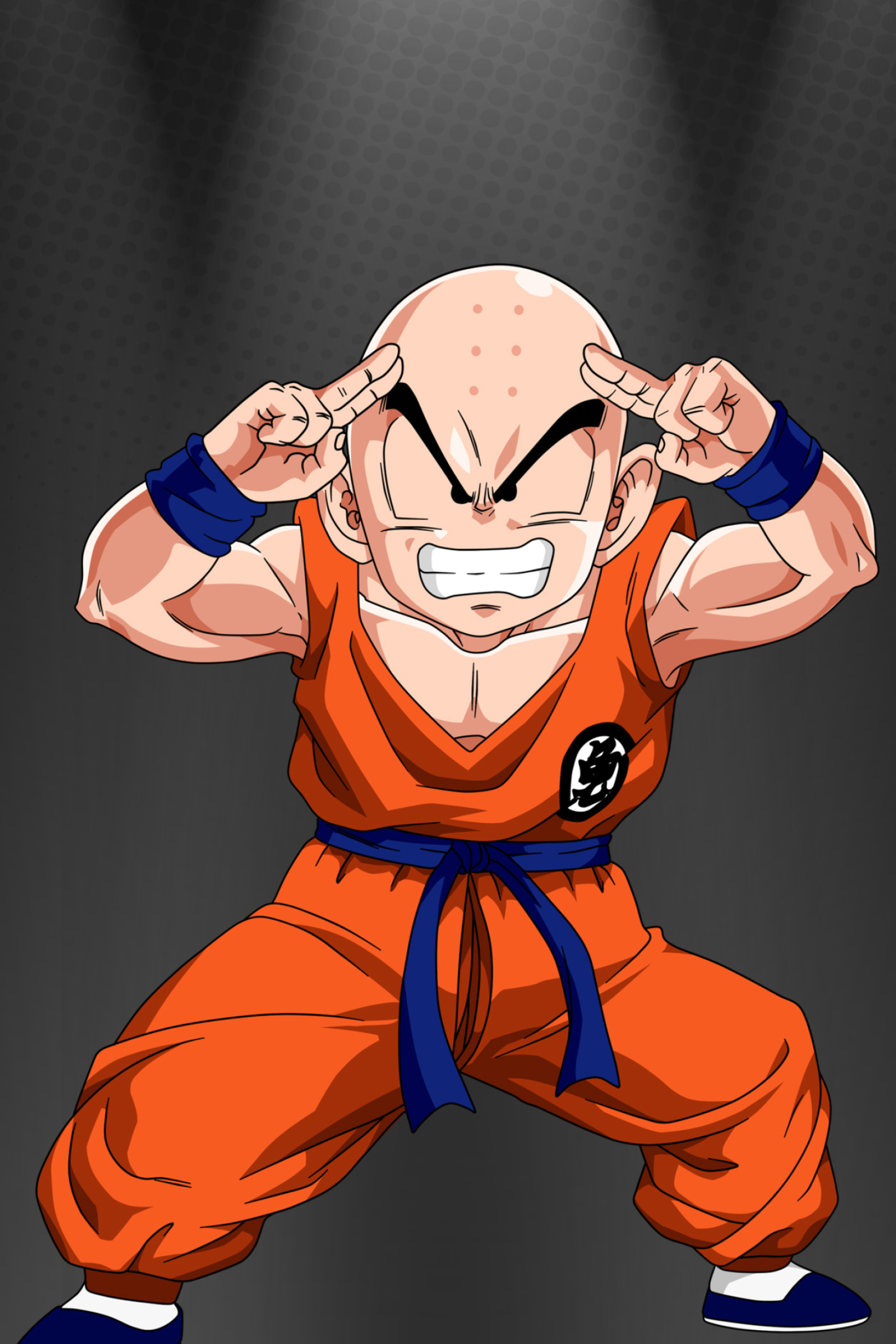 Dragon Ball Z, Krillin, Wallpaper, Download, 1950x2920 HD Phone