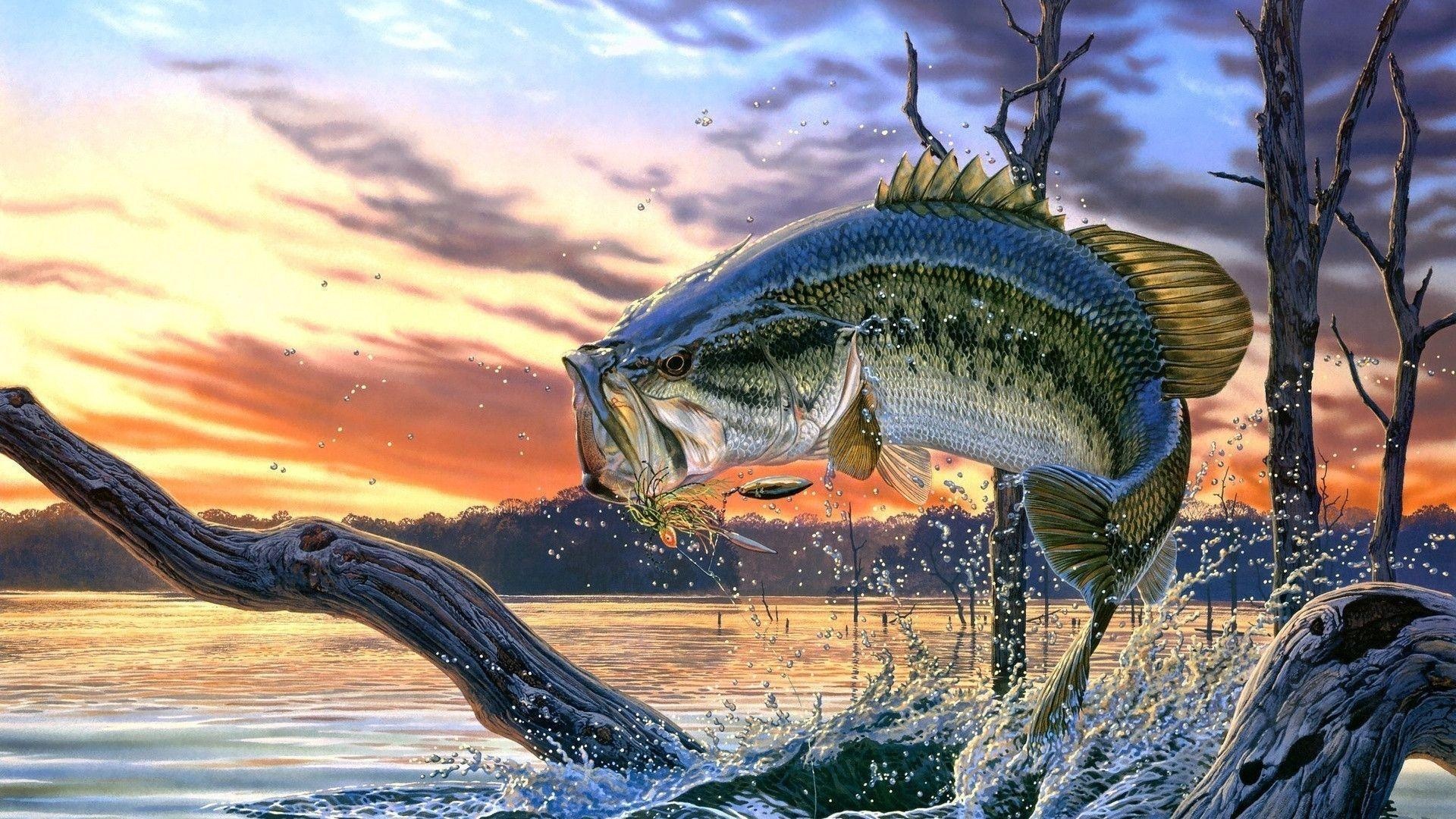 Largemouth Bass Wallpapers, Top Free, 1920x1080 Full HD Desktop