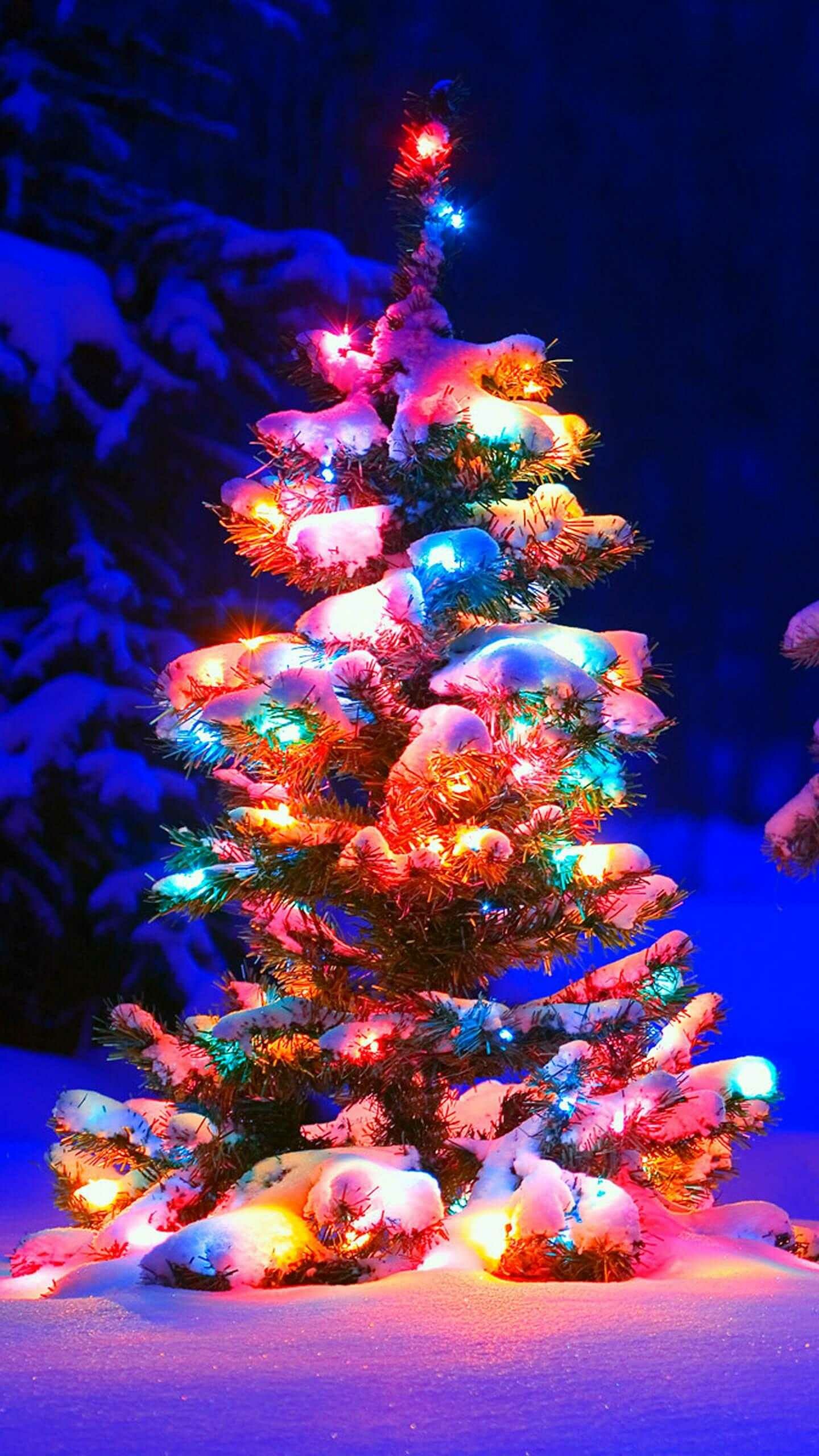 Christmas lights, Festive decorations, Sparkling display, Holiday cheer, 1440x2560 HD Phone