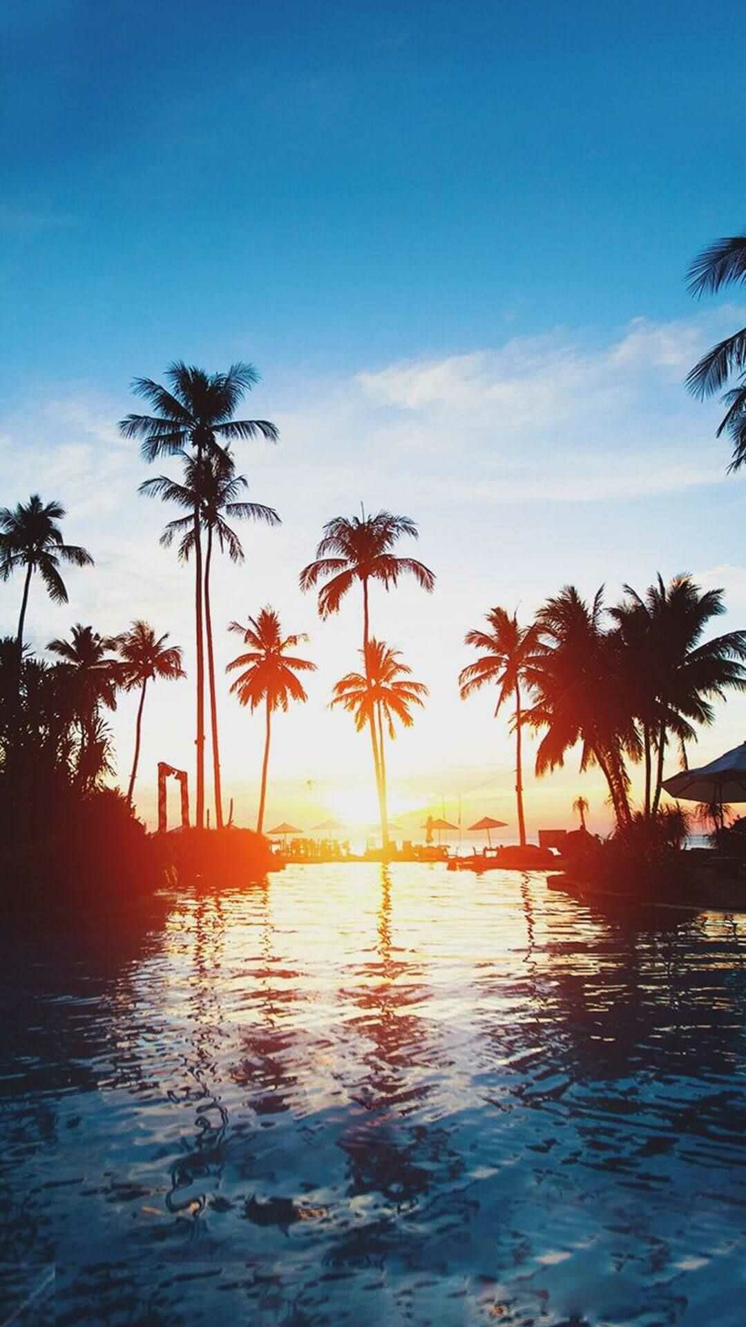 Palm tree perfection, Lush green palms, Beachside serenity, Tropical allure, 1080x1920 Full HD Phone