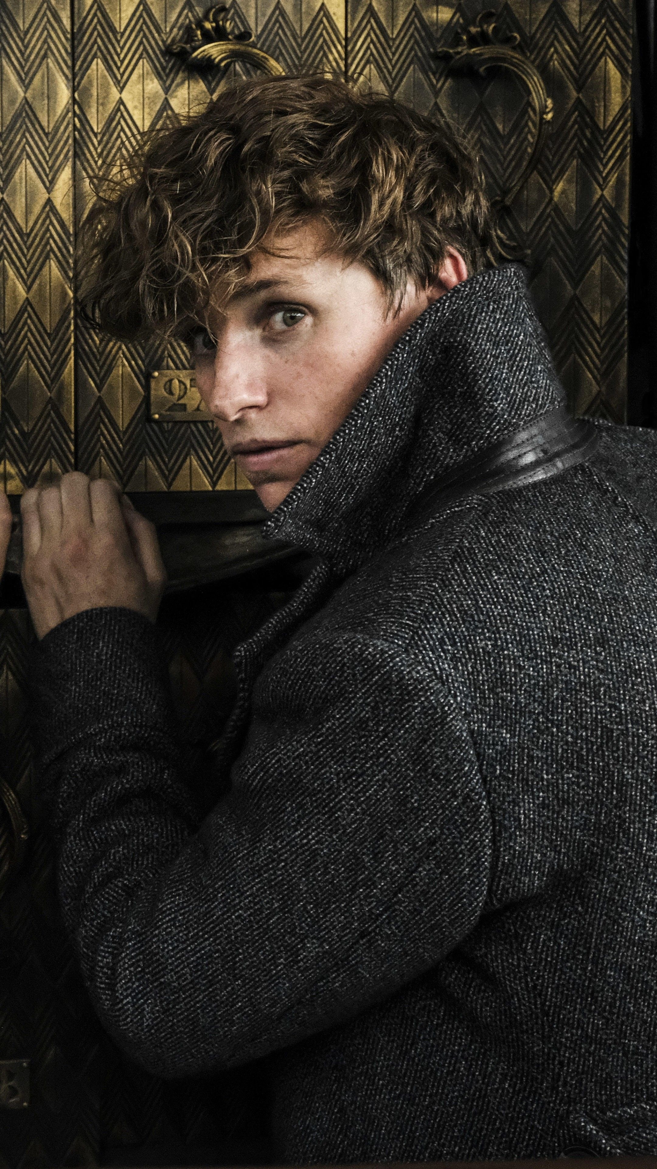 Eddie Redmayne, Wallpapers, 2160x3840 4K Phone