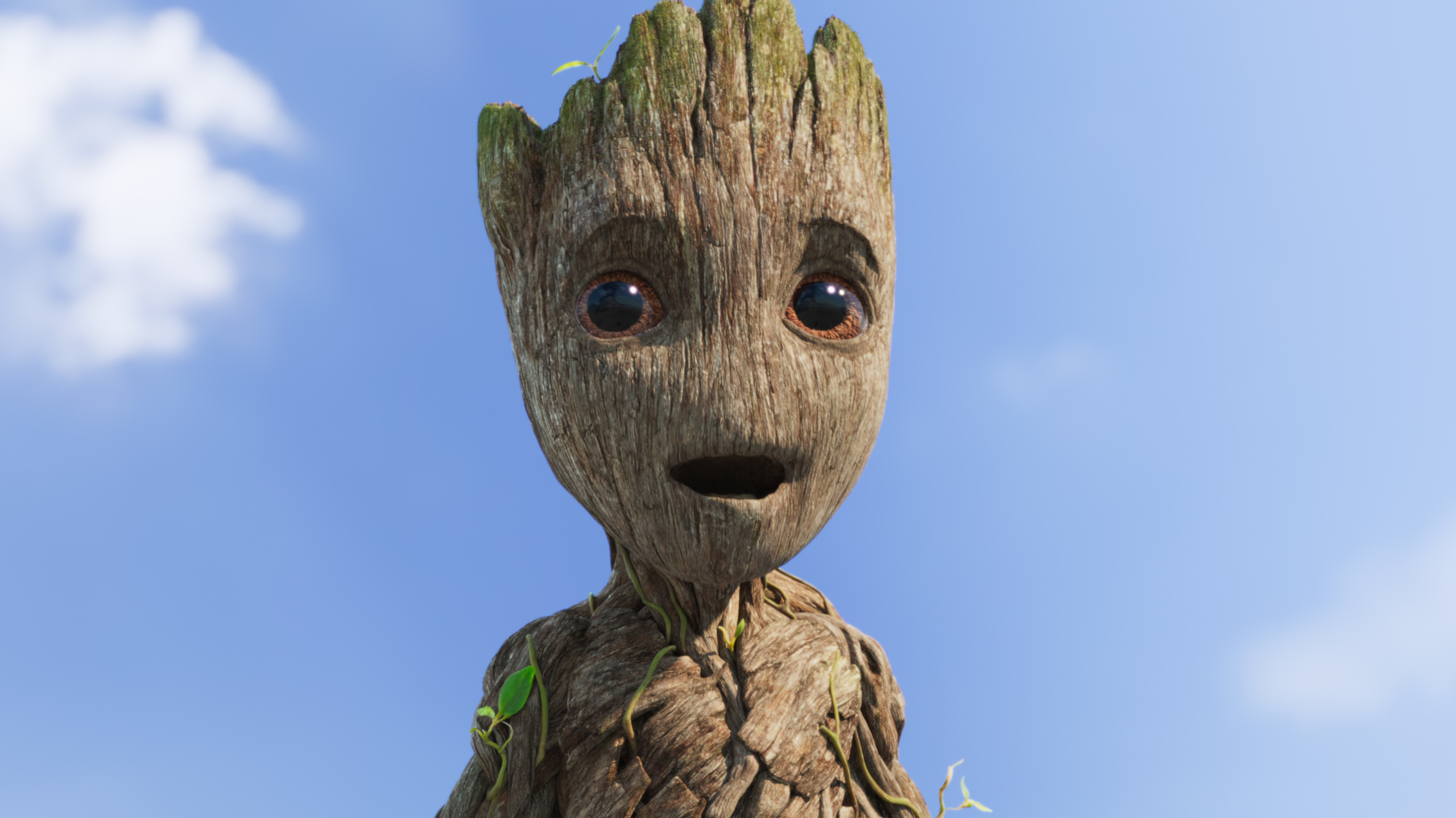 I Am Groot HD Wallpapers und Hintergrnde 2560x1440