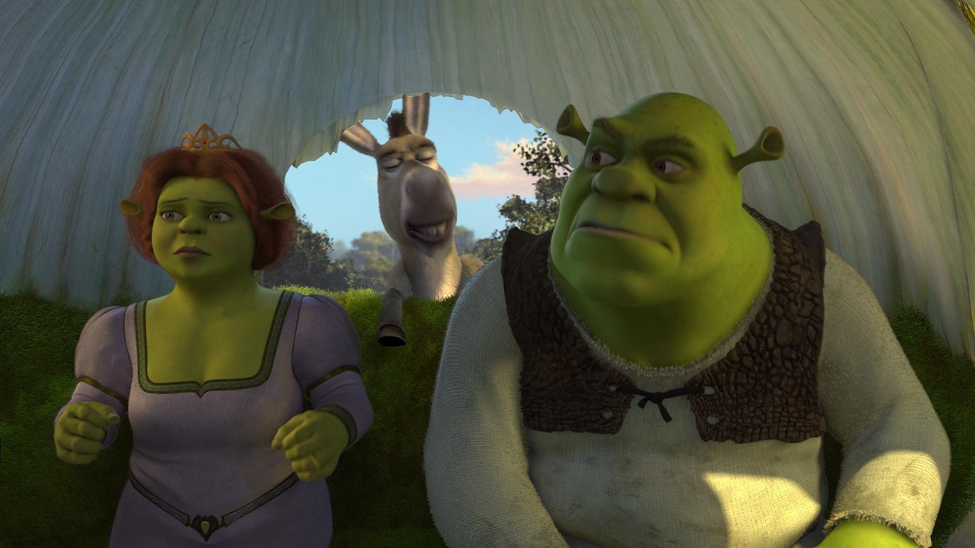 Shrek 2 drinking game, Party fun, Shrek and Fiona, Animated adventure, 1920x1080 Full HD Desktop